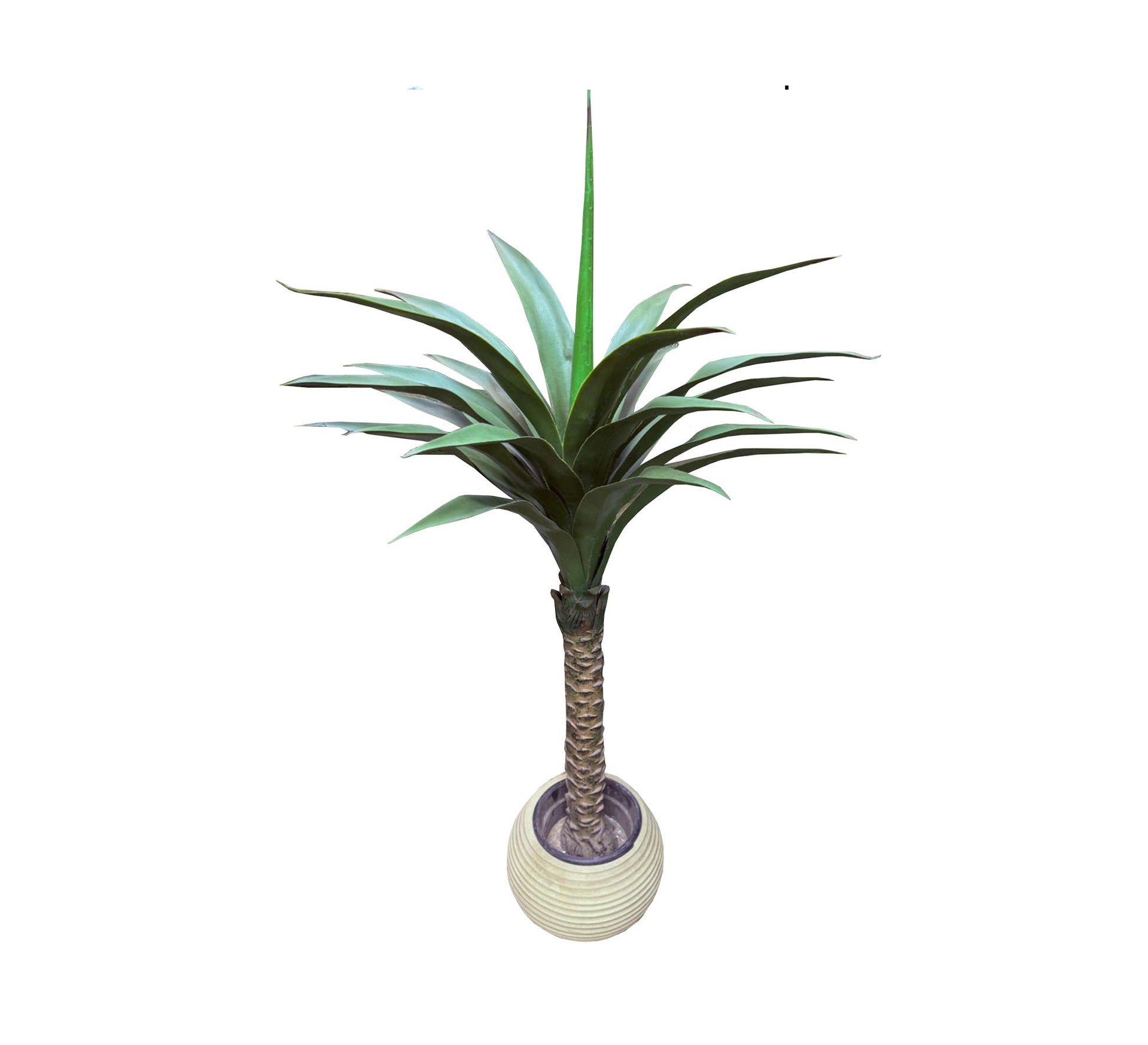 A pot for Asian palm plant - Vitrine Furniture - Décor