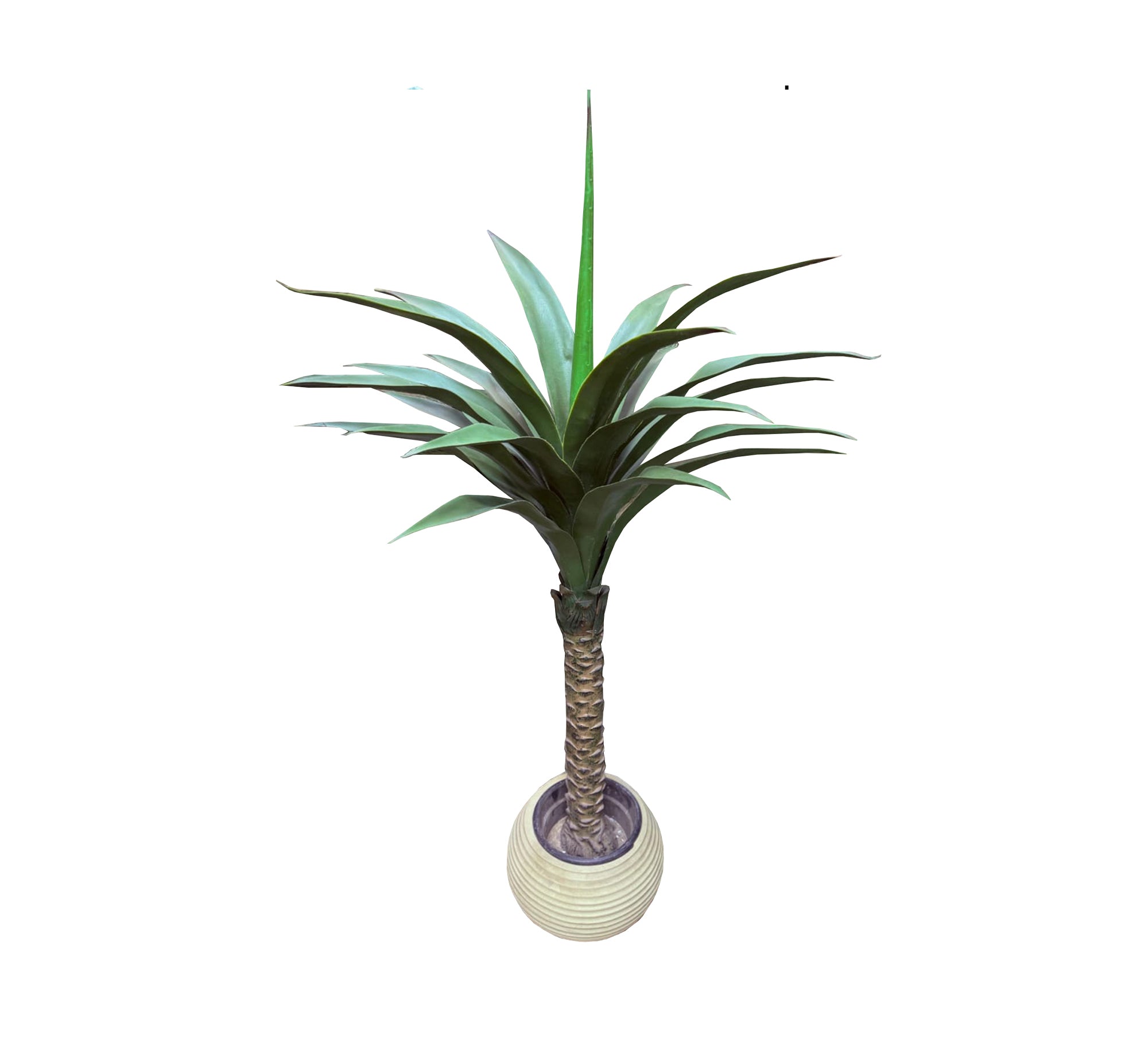 A pot for Asian palm plant - Vitrine Furniture - Décor