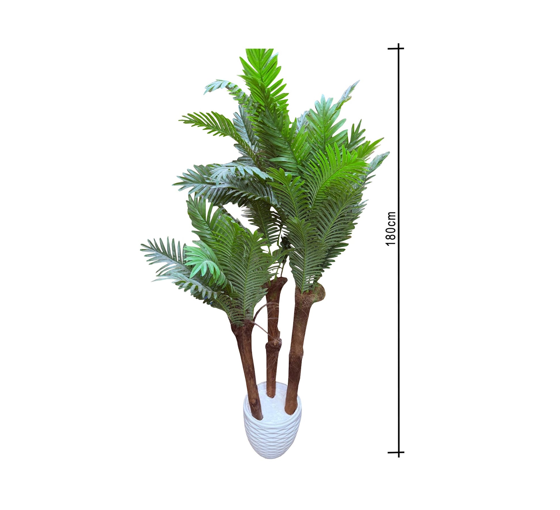 Artificial palm plant pots - Vitrine Furniture - Décor