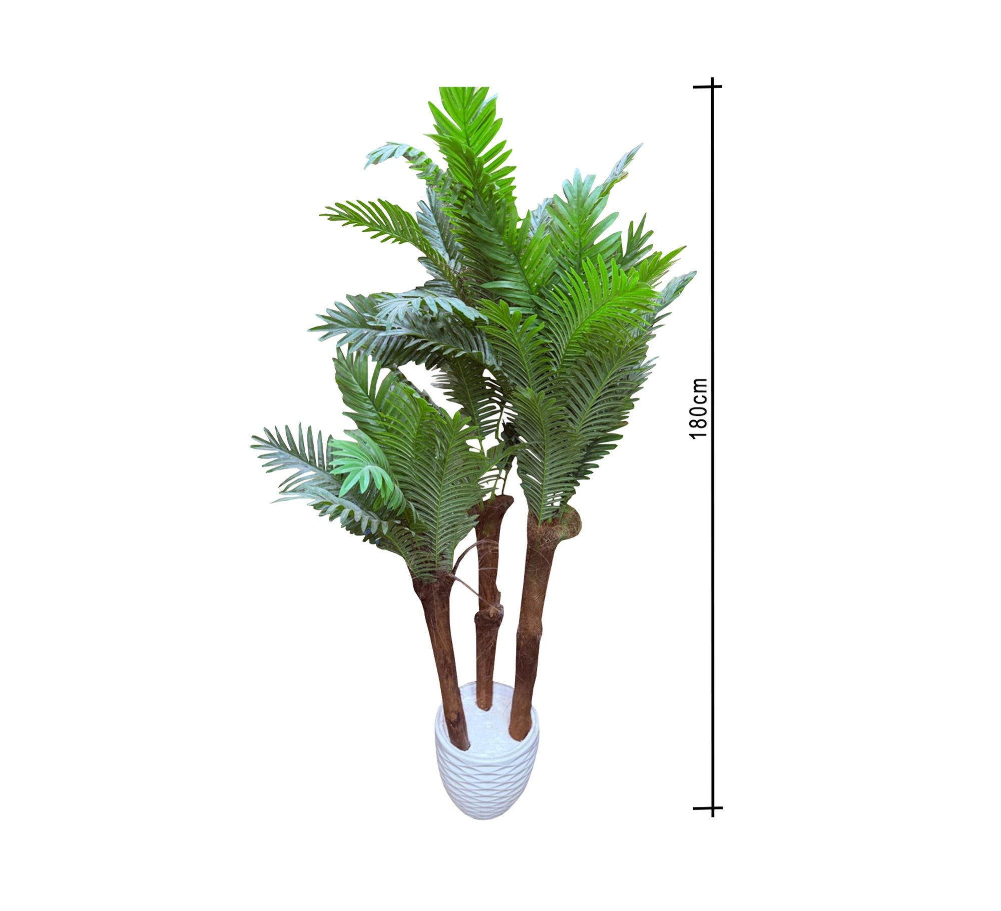 Artificial palm plant pots - Vitrine Furniture - Décor