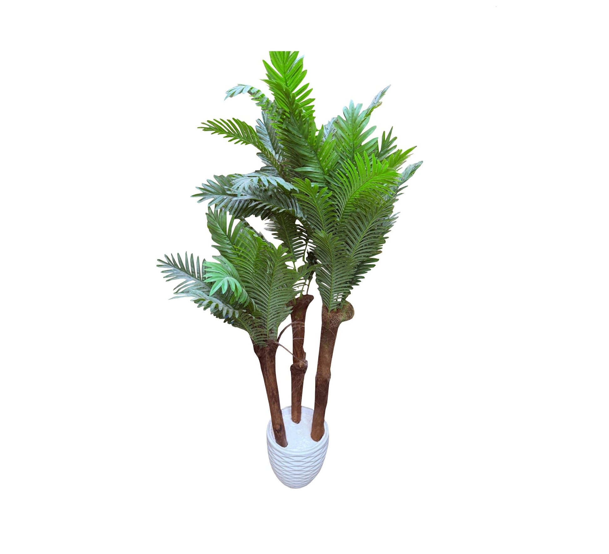 Artificial palm plant pots - Vitrine Furniture - Décor
