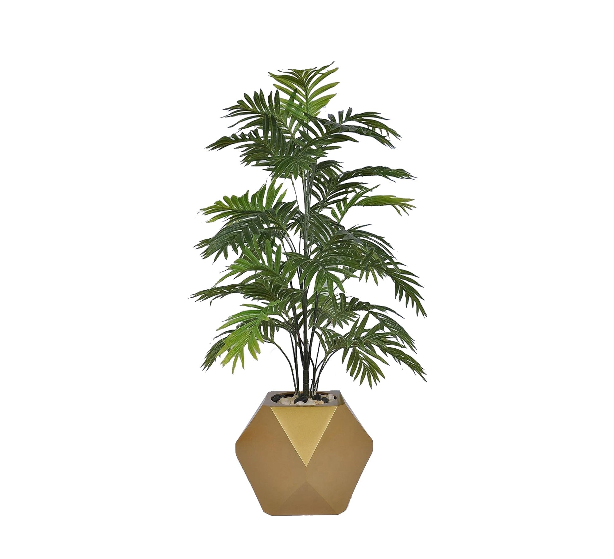 Artificial Palm: Stylish, Durable. - Vitrine Furniture - Decor
