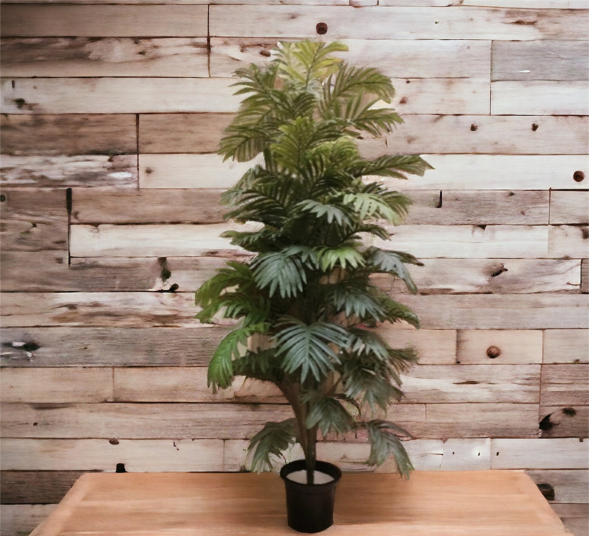 Artificial plant pot, black plastic and leather - Vitrine Furniture - Decor