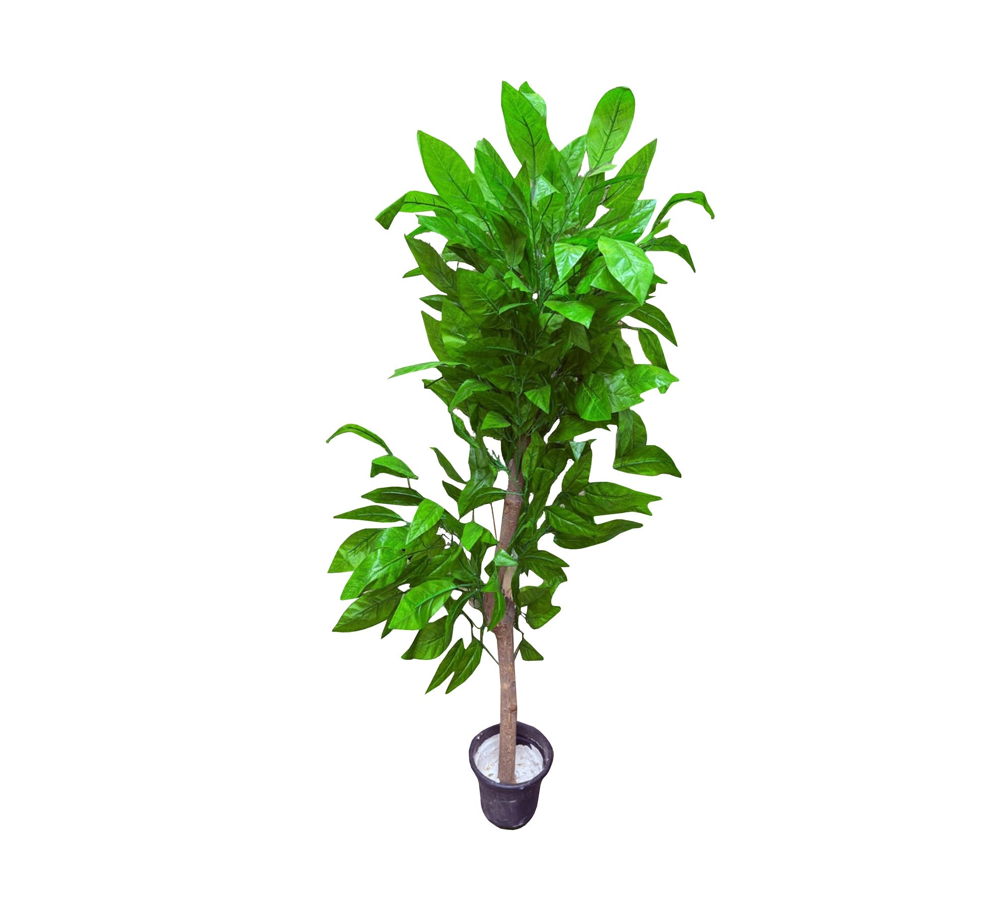 Artificial plant pot with mango leaves - Vitrine Furniture - Décor