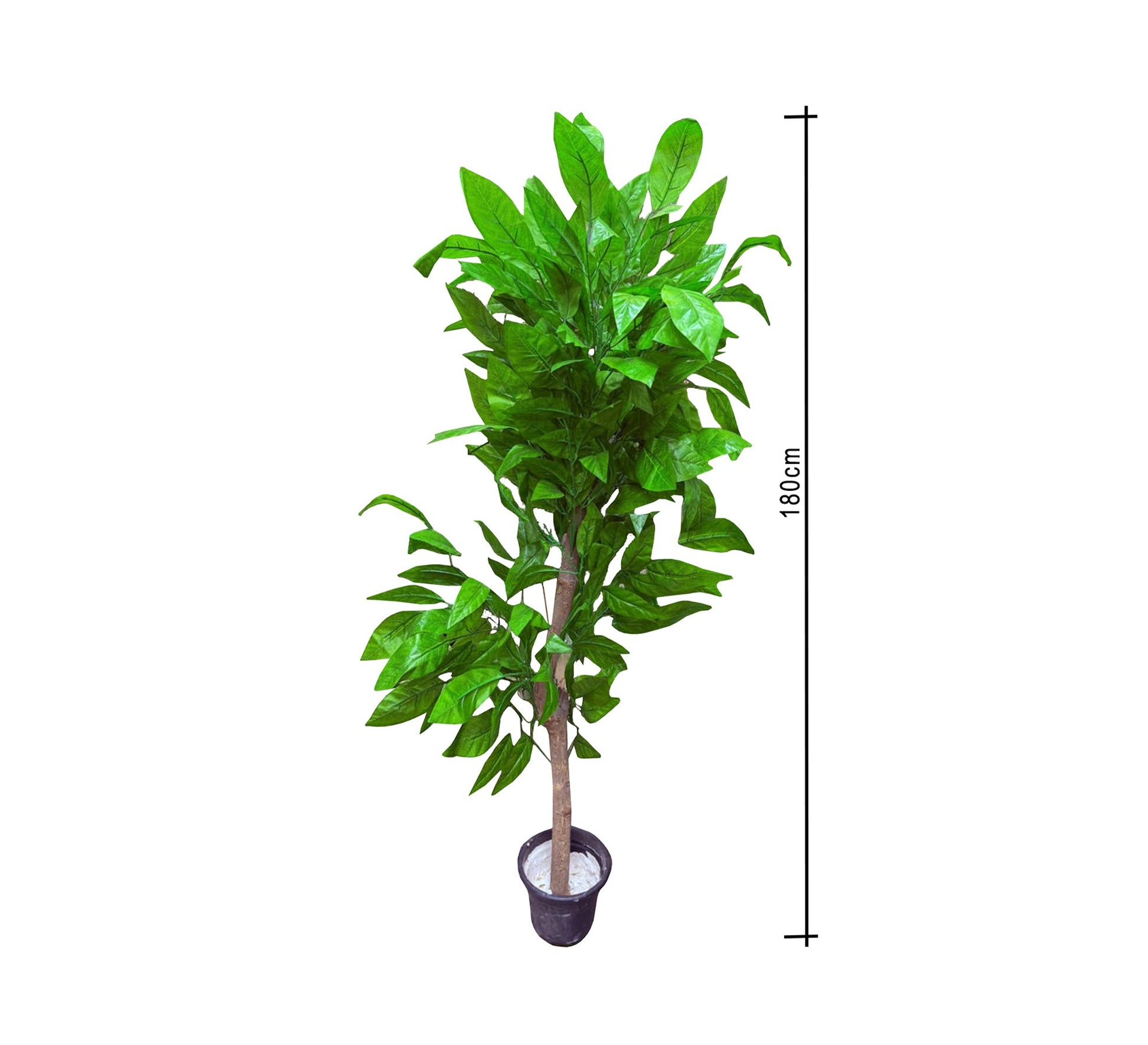 Artificial plant pot with mango leaves - Vitrine Furniture - Décor