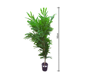 Artificial plant pots - Vitrine Furniture - Décor