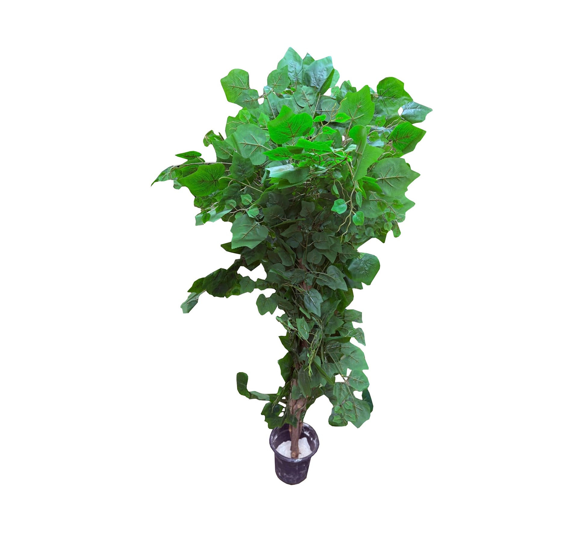 Artificial plant pots with intertwined branches - Vitrine Furniture - Décor