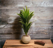 Artificial plants to add a touch of beauty to your home - Vitrine Furniture - Decor