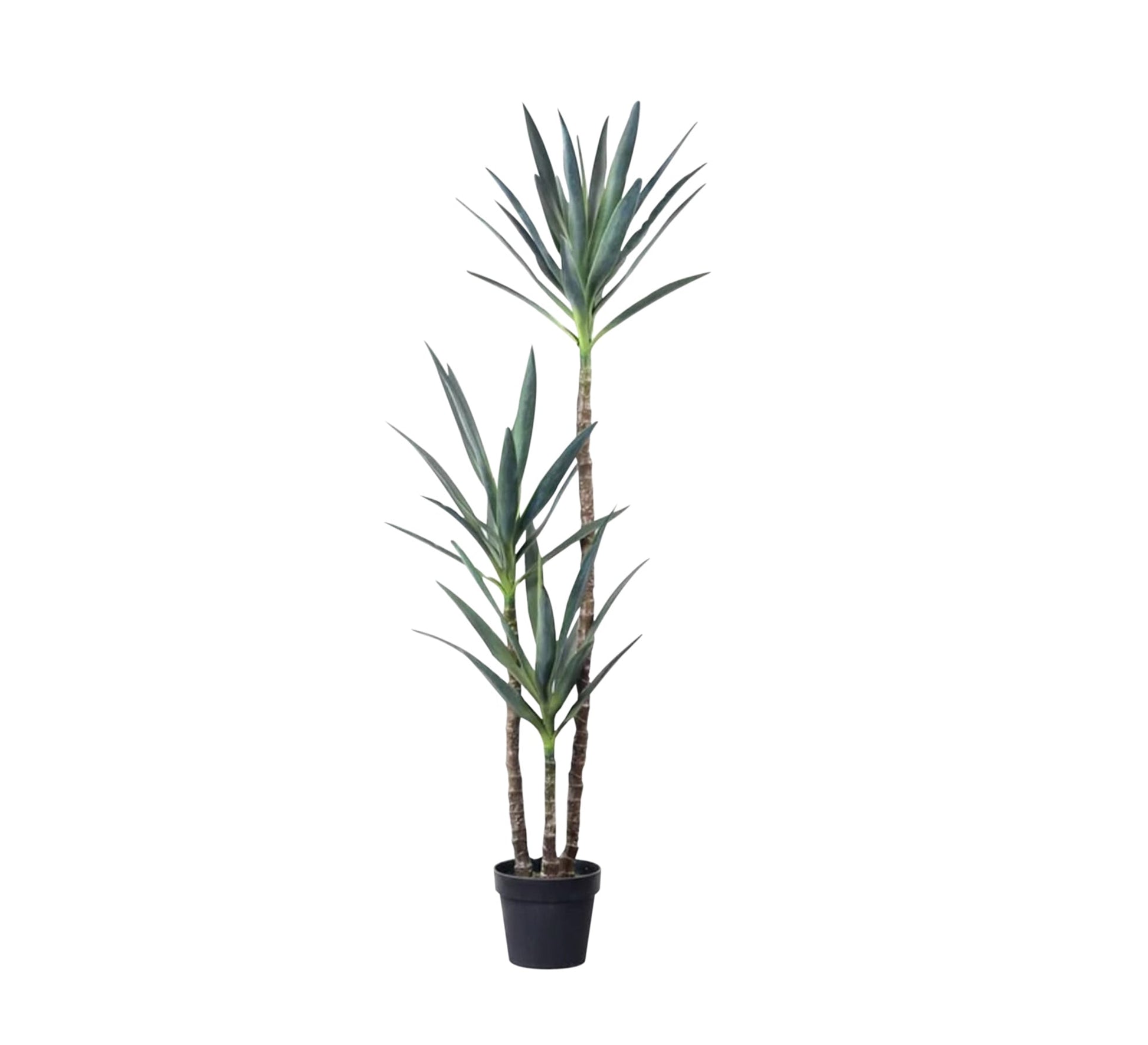 Artificial pot for yucca plant - Vitrine Furniture - Décor
