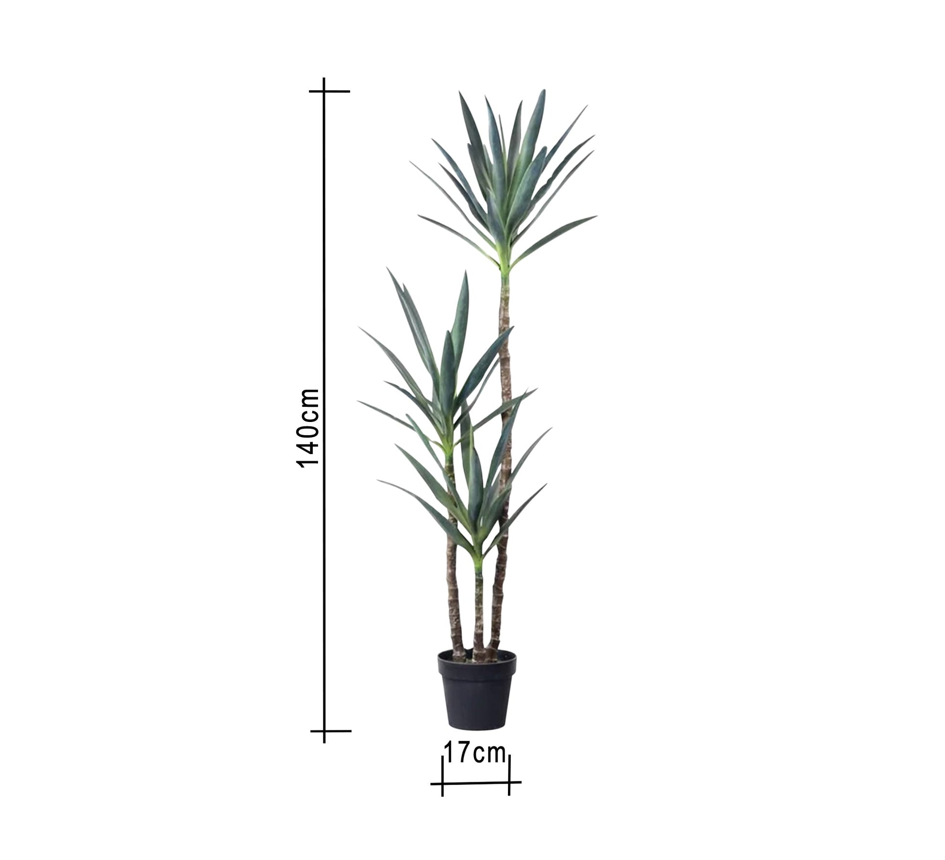 Artificial pot for yucca plant - Vitrine Furniture - Décor