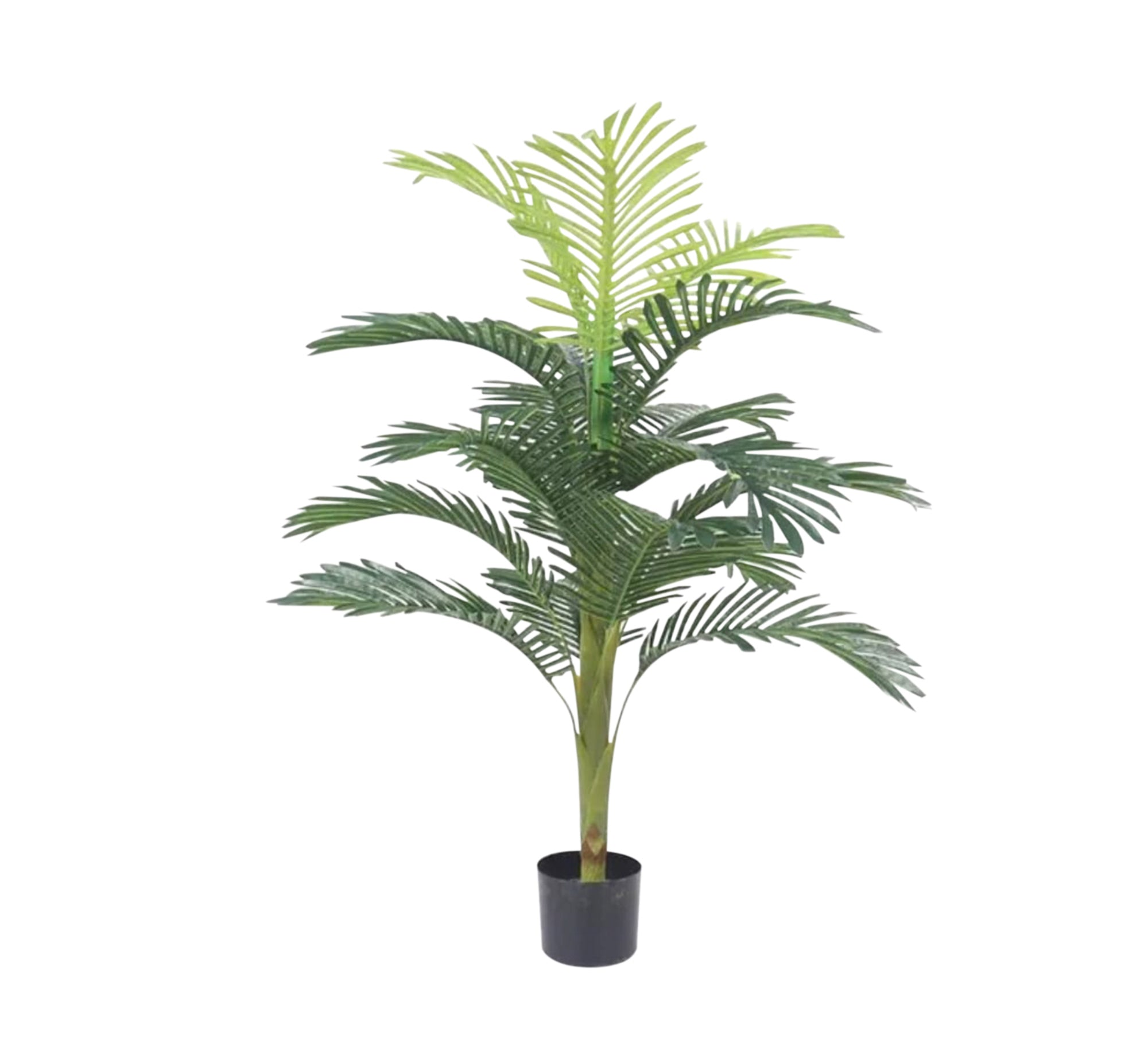 Black circular pot for areca palm - Vitrine Furniture - Décor