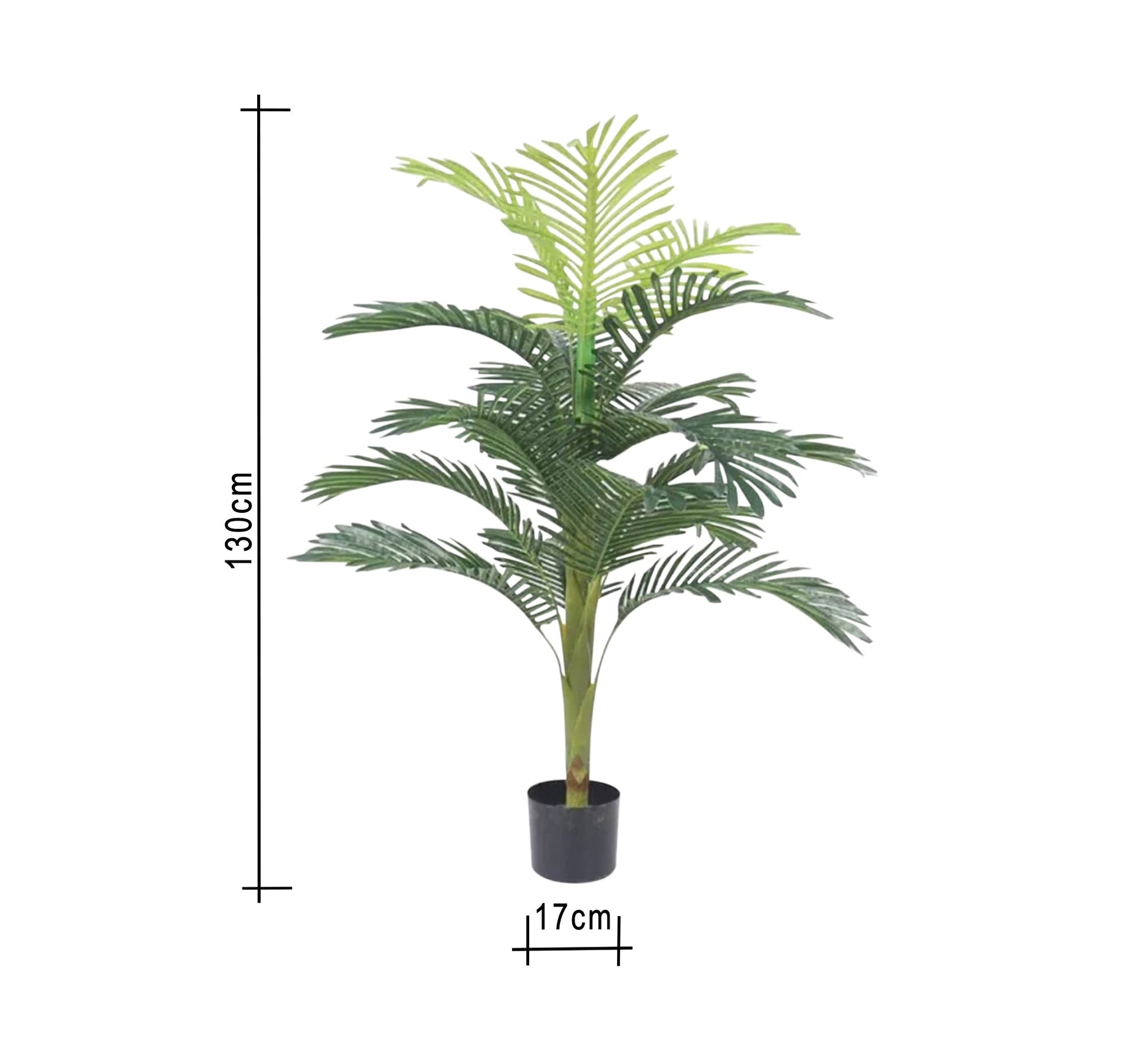 Black circular pot for areca palm - Vitrine Furniture - Décor