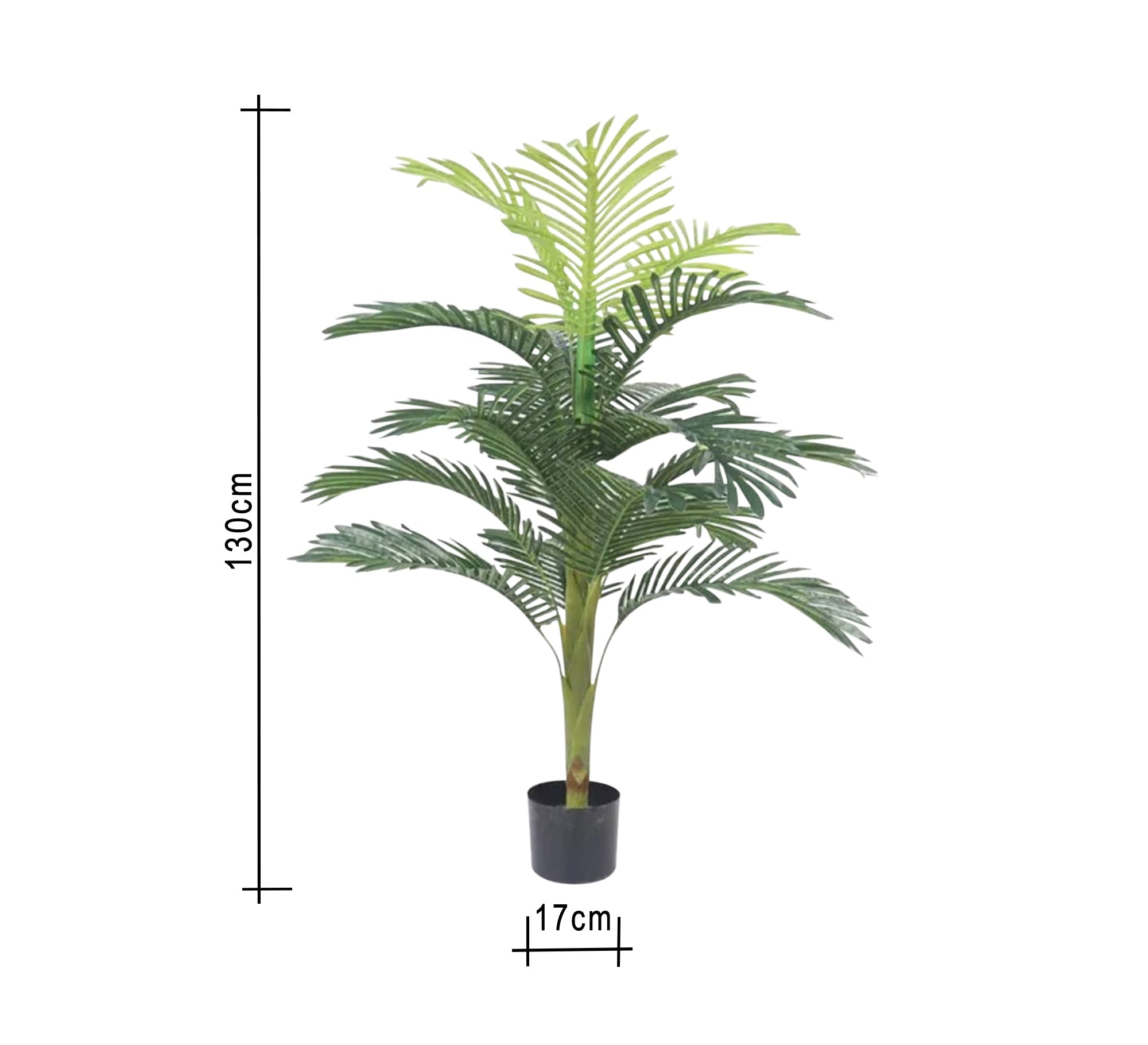 Black circular pot for areca palm - Vitrine Furniture - Décor