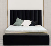Bold black bed - Vitrine Furniture - Furniture