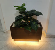 Brown artificial plant pot equipped with LED - Vitrine Furniture - Decor