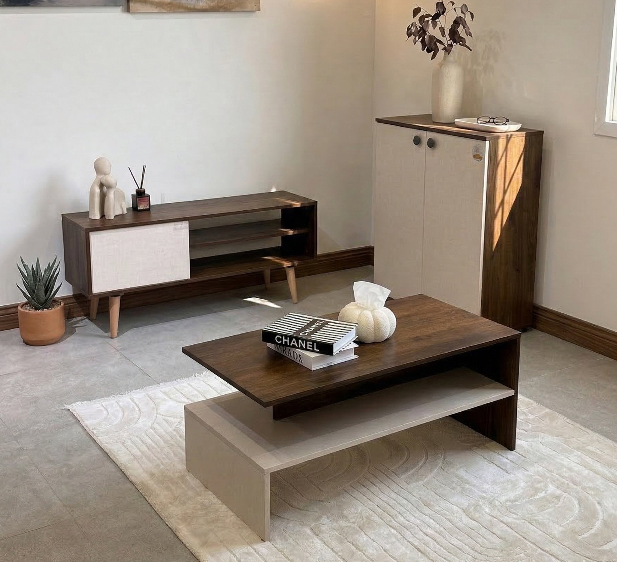 Complete modern wooden furniture set - Vitrine Furniture - TV Table & Cabinet