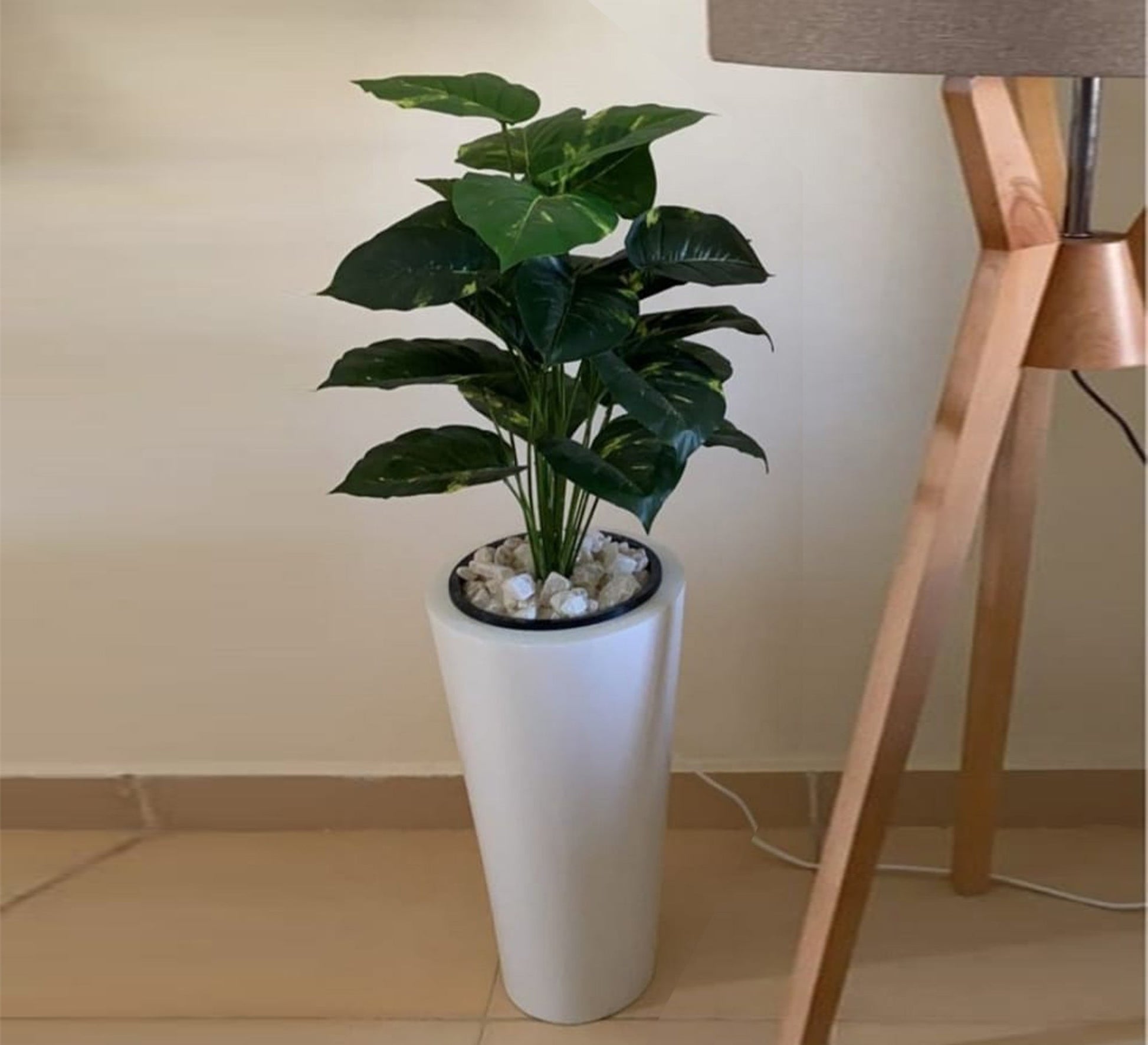Cone - Planter: Sleek, Modern, Space - Saving - Vitrine Furniture - Décor