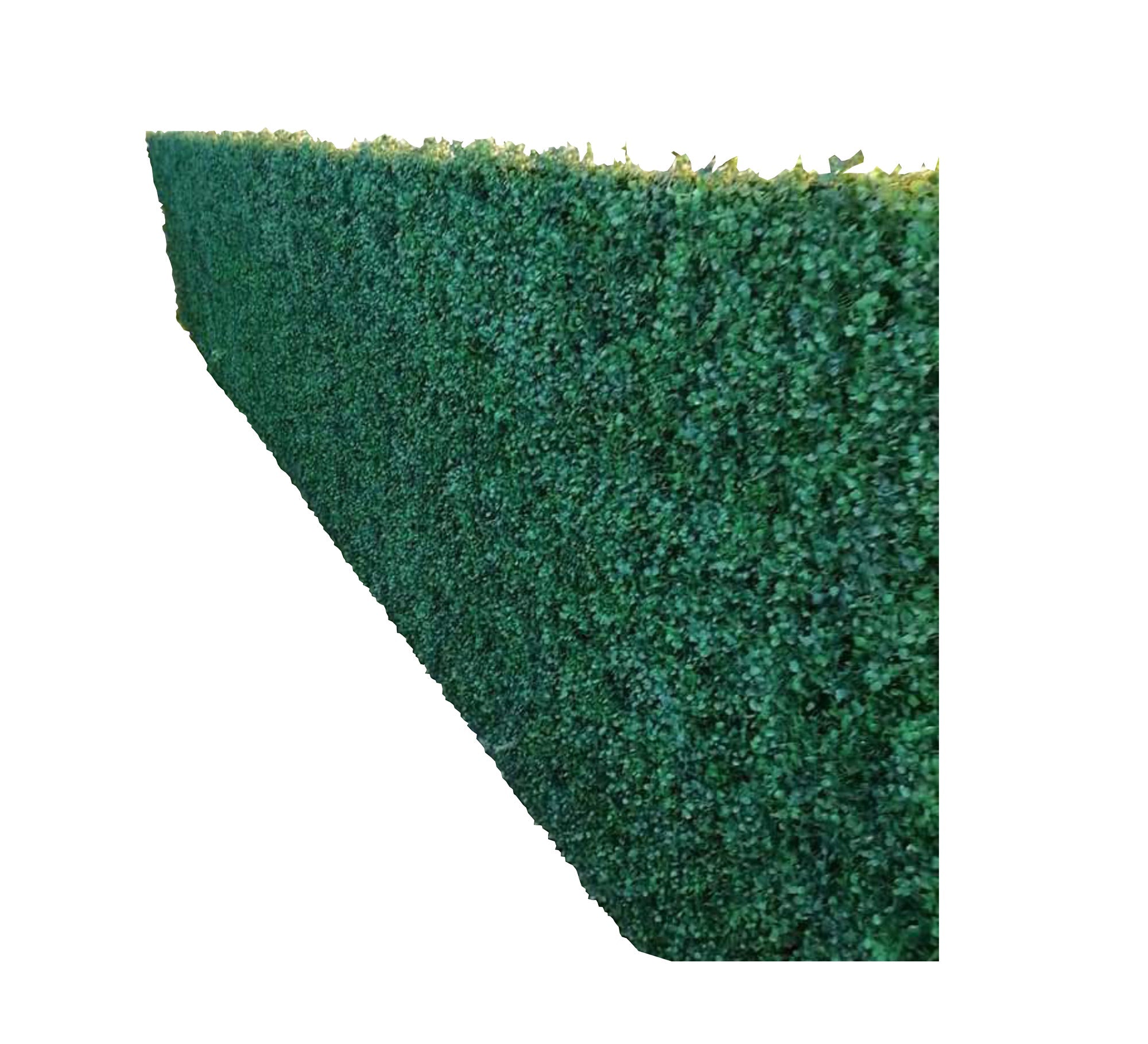 Dense, Bright Green Artificial Grass Roll - Vitrine Furniture - Décor