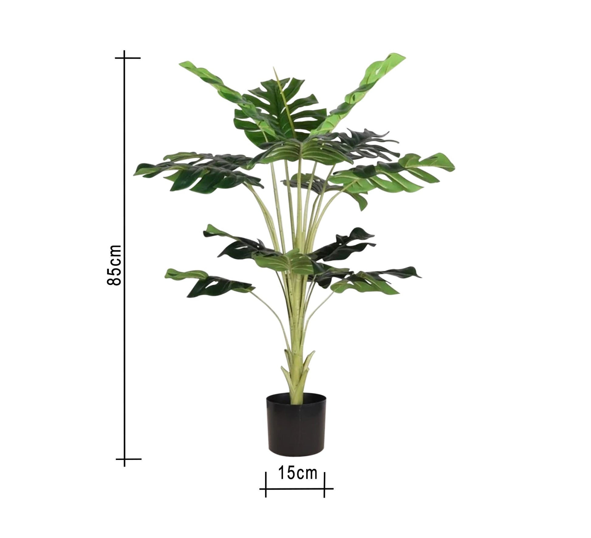 Dream Pot: Elegant, Durable, Eco - friendly - Vitrine Furniture - Décor