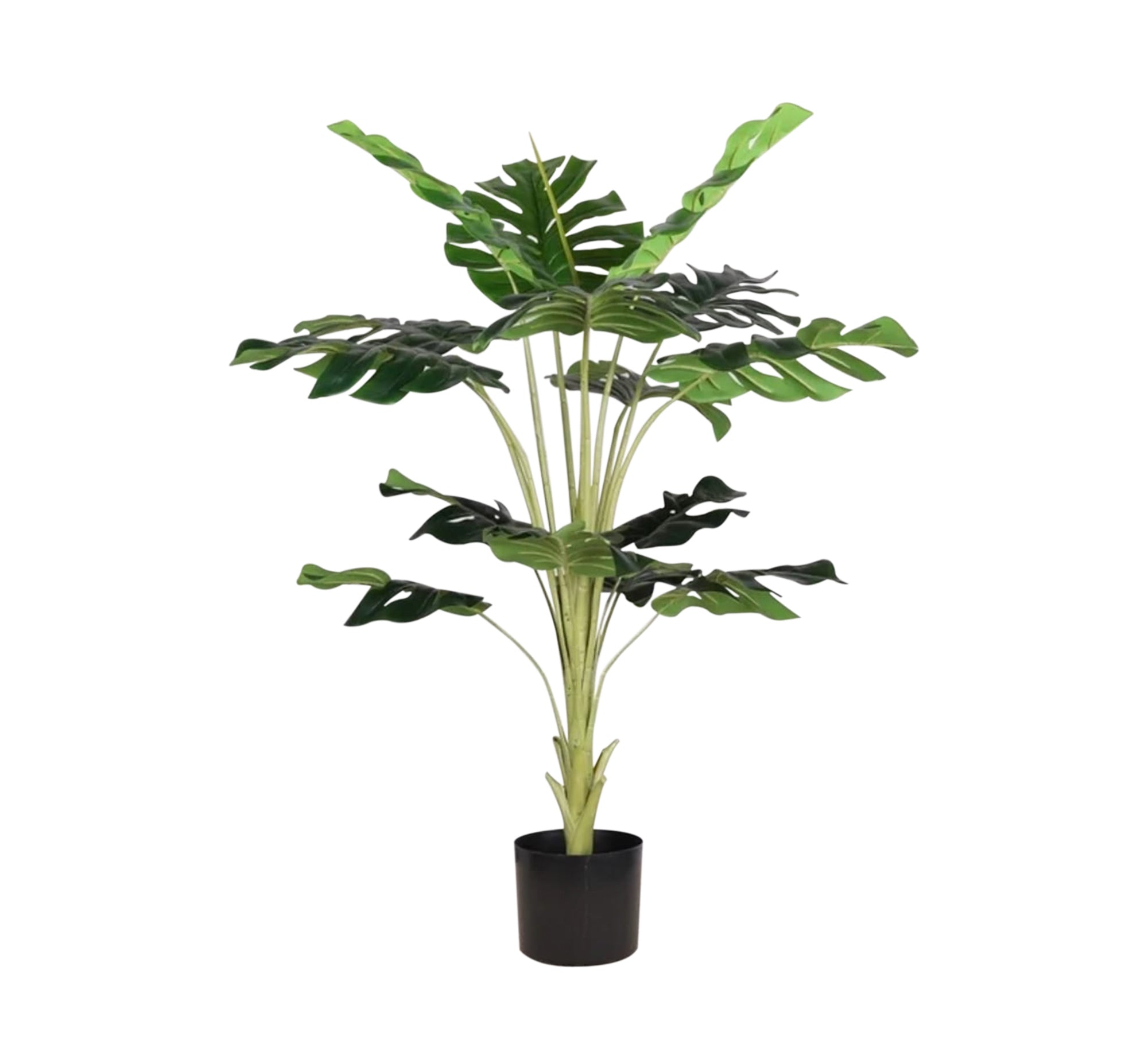 Dream Pot: Elegant, Durable, Eco - friendly - Vitrine Furniture - Décor