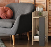 Elegance Wardrobe: Chic Beige & Black Decorative Accent - Vitrine Furniture - Furniture