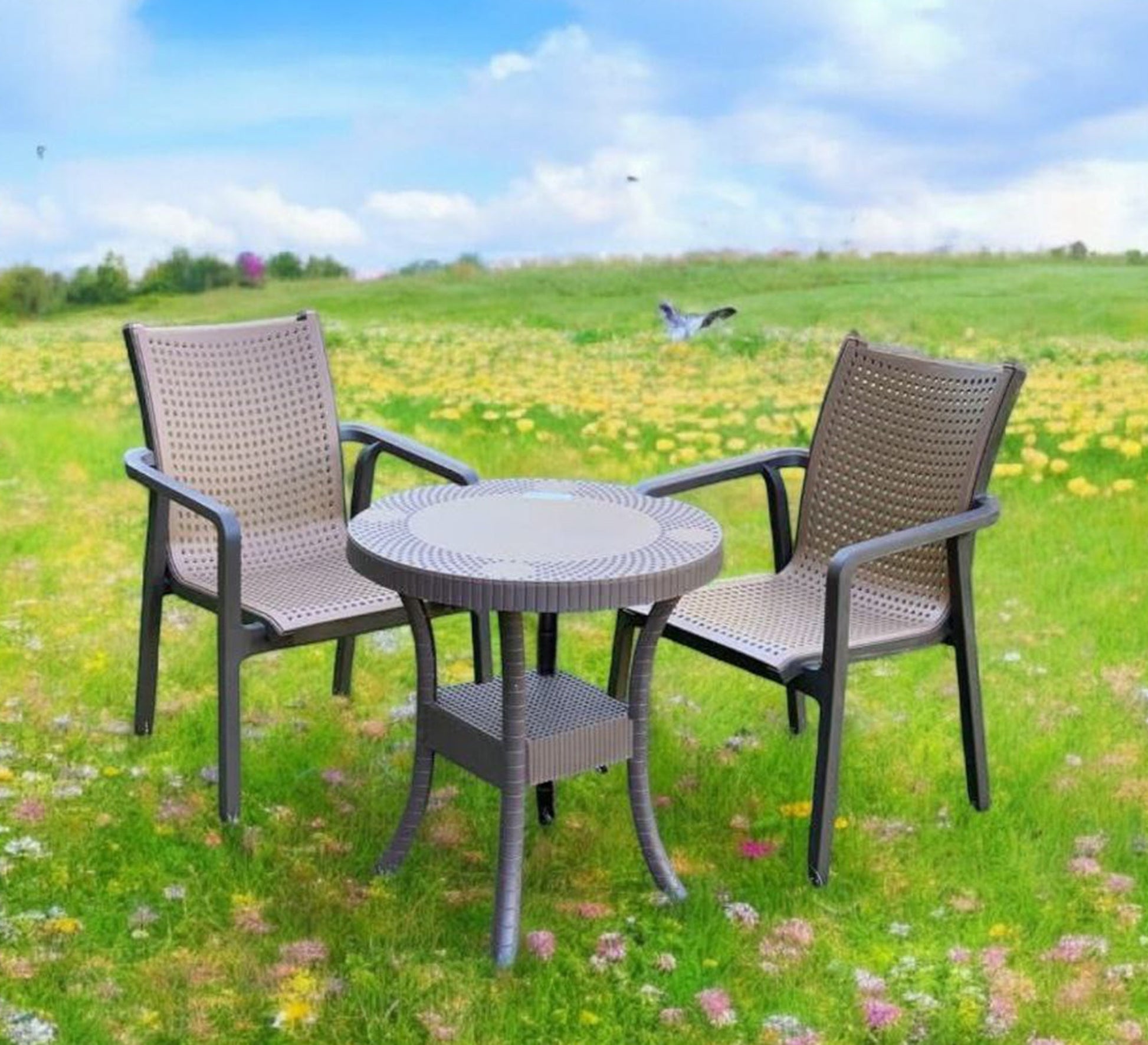 Elegant and comfortable brown outdoor seating set - Vitrine Furniture - Outdoor Products