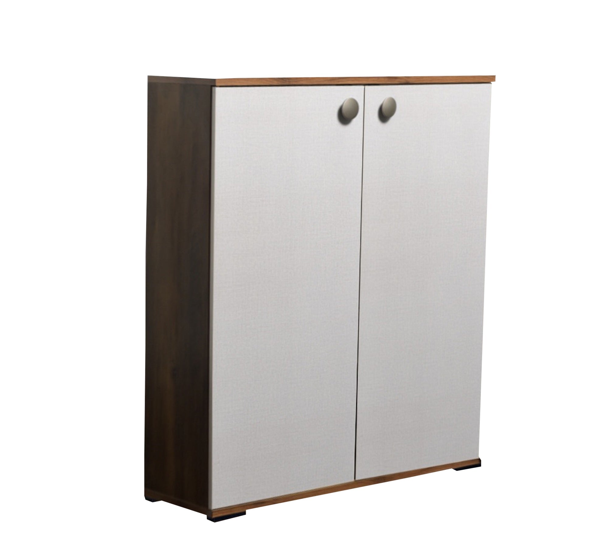 Elegant double - door shoe rack - Vitrine Furniture - Furniture