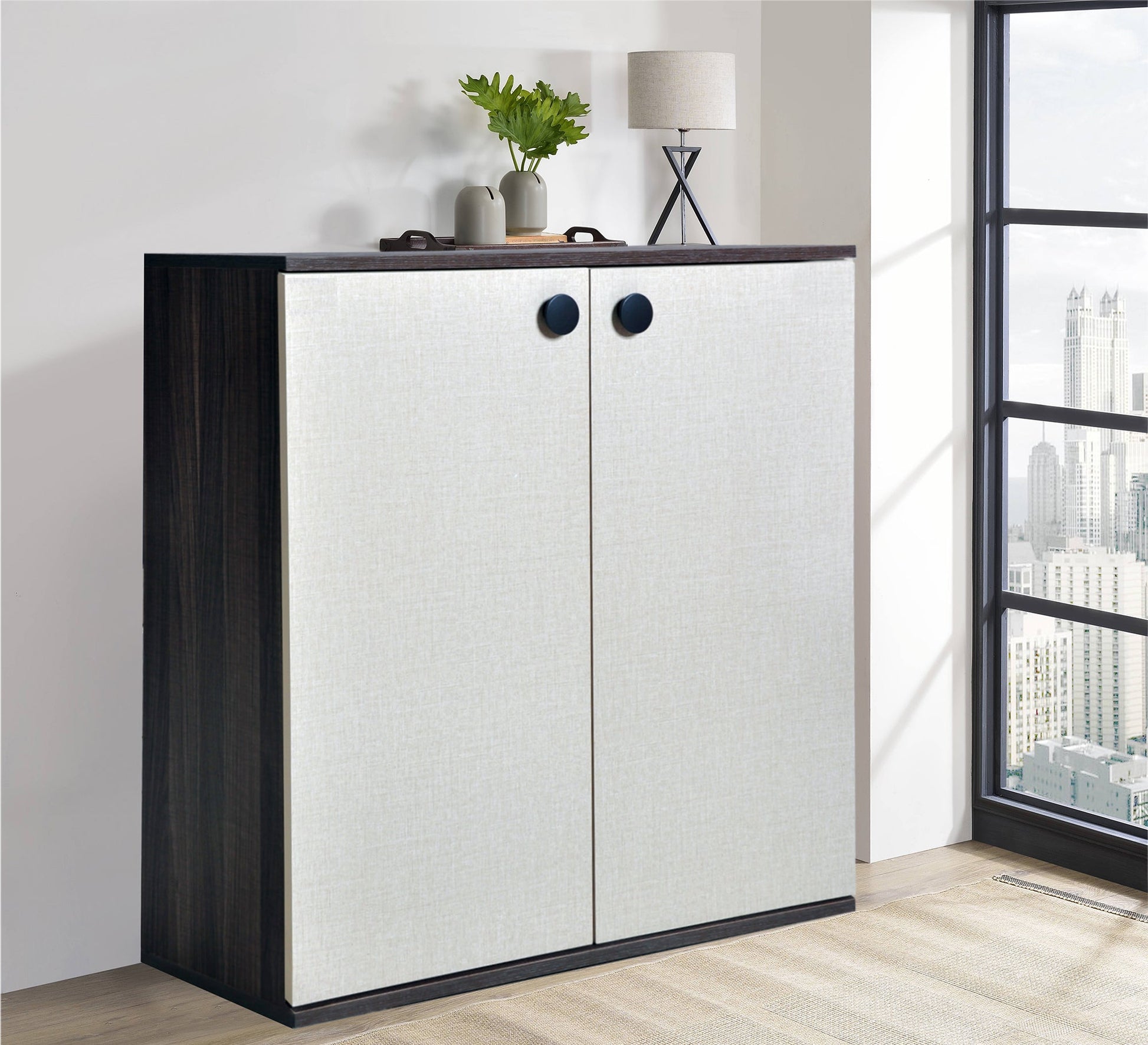 Elegant double - door shoe rack - Vitrine Furniture - Furniture