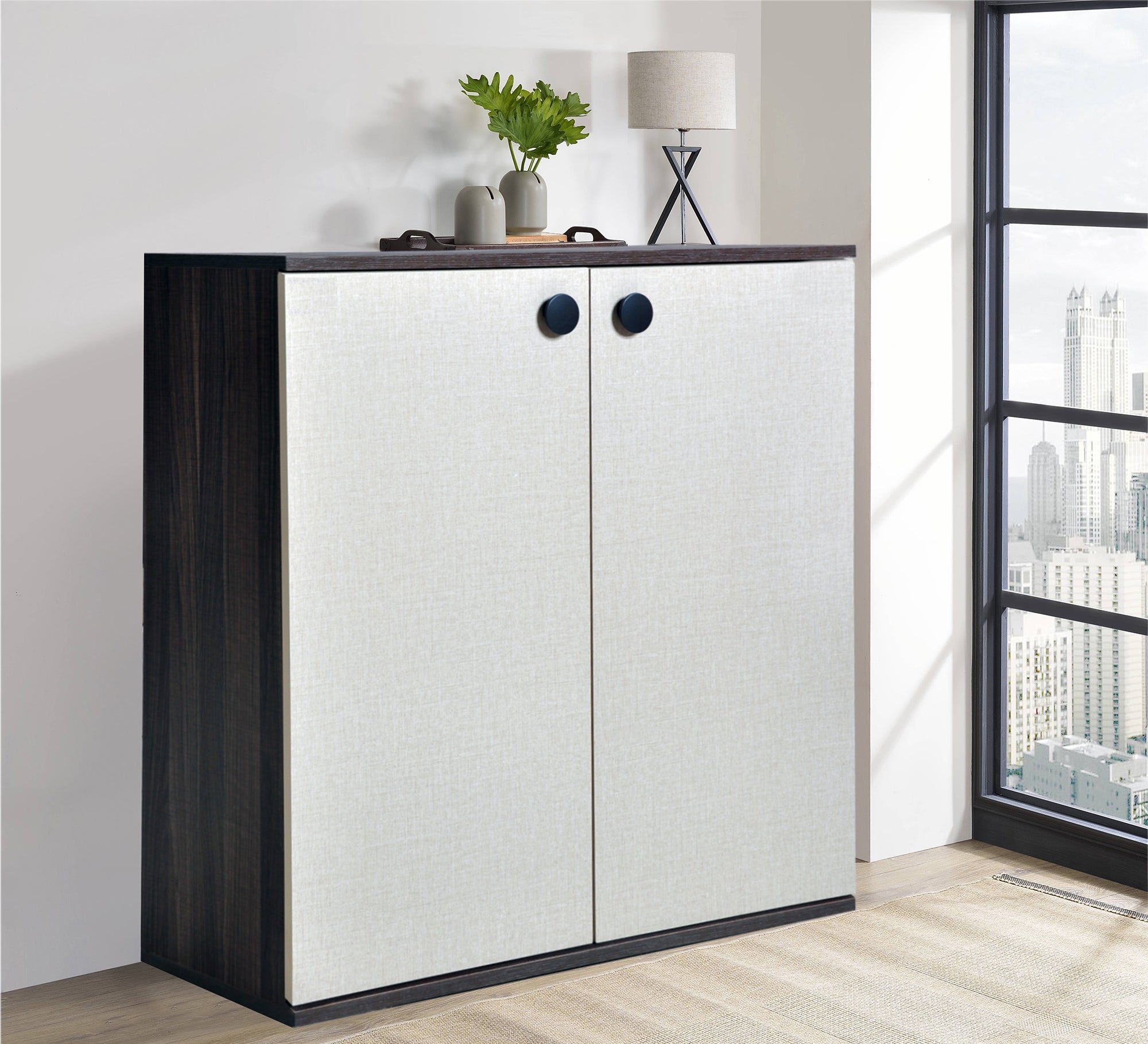 Elegant double - door shoe rack - Vitrine Furniture - Furniture