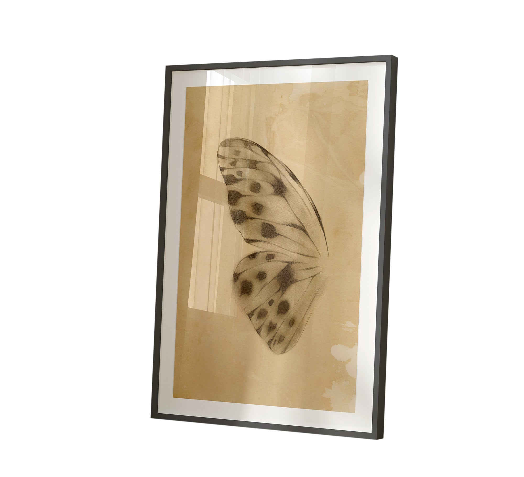 Frame of a butterfly wing with a black frame - Vitrine Furniture - Décor