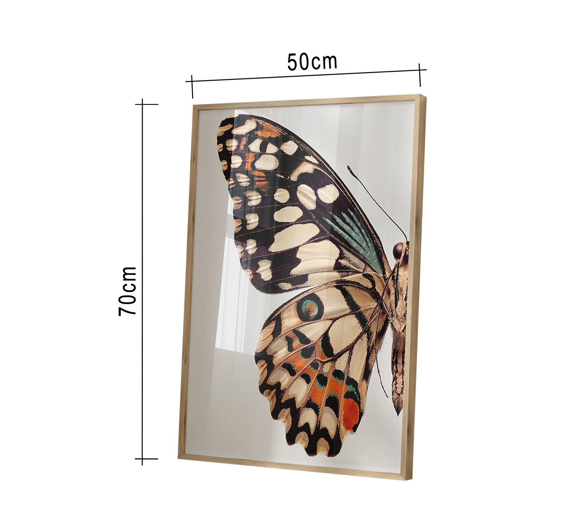 Golden - Framed Butterfly Tableau - Elegant Art - Vitrine Furniture - Décor