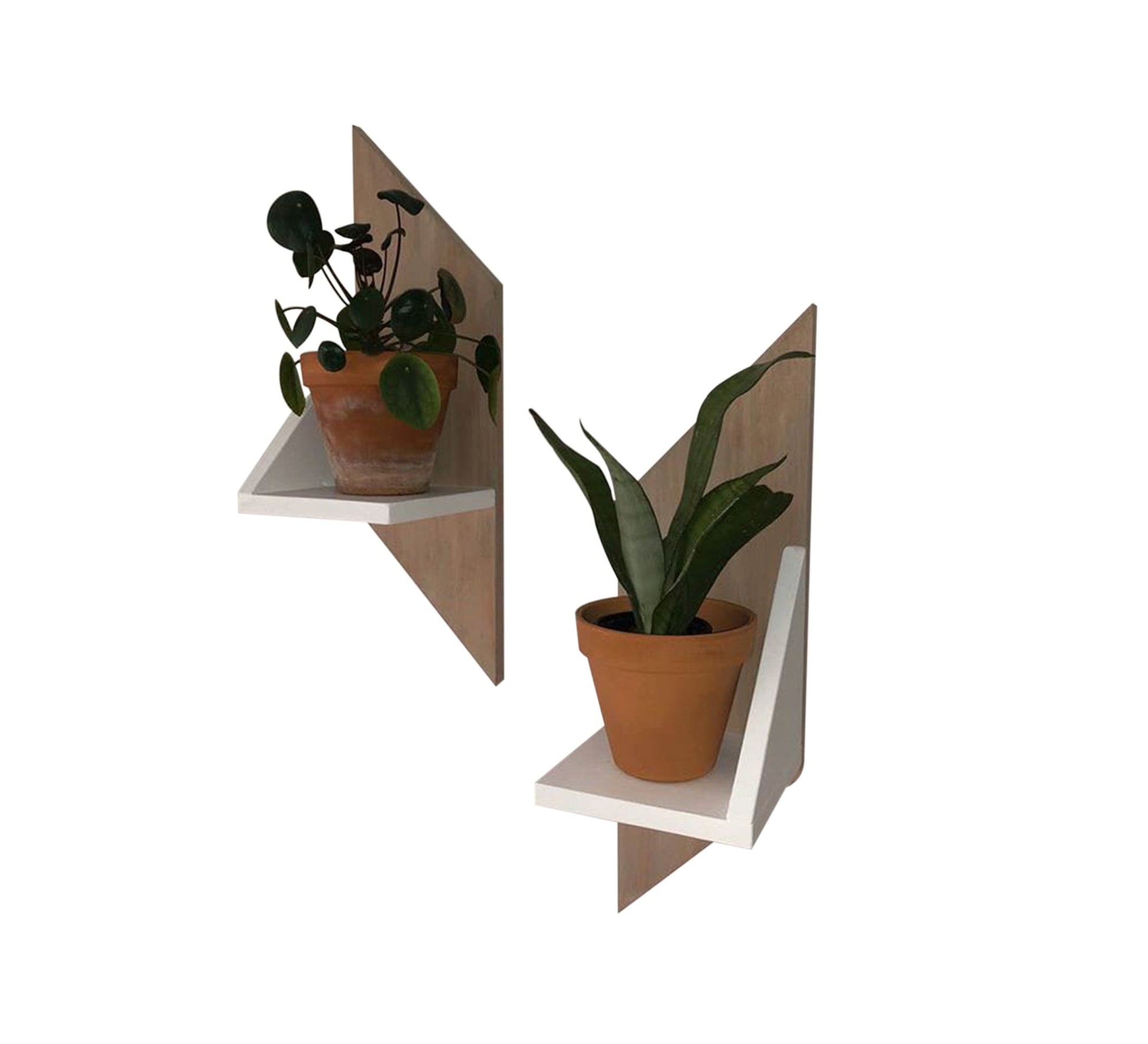 Hanging decorative cat - Vitrine Furniture - Furniture