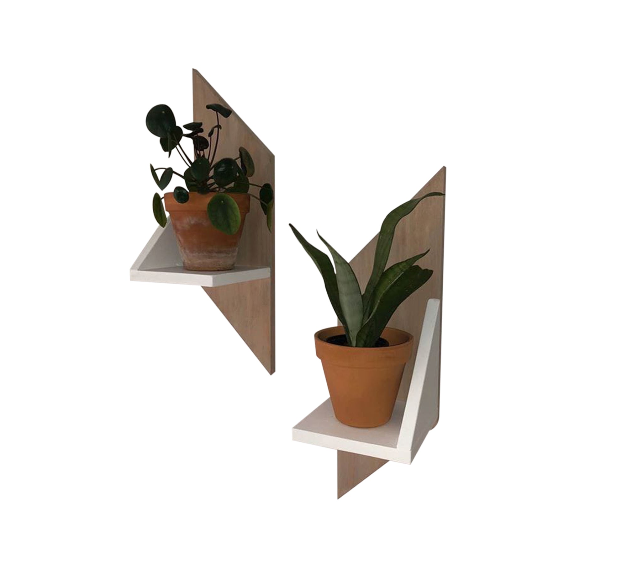 Hanging decorative cat - Vitrine Furniture - Furniture