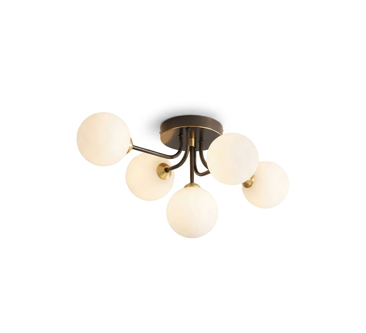 Modern 5-light circular ceiling chandelier - Vitrine Furniture - Ceiling lights