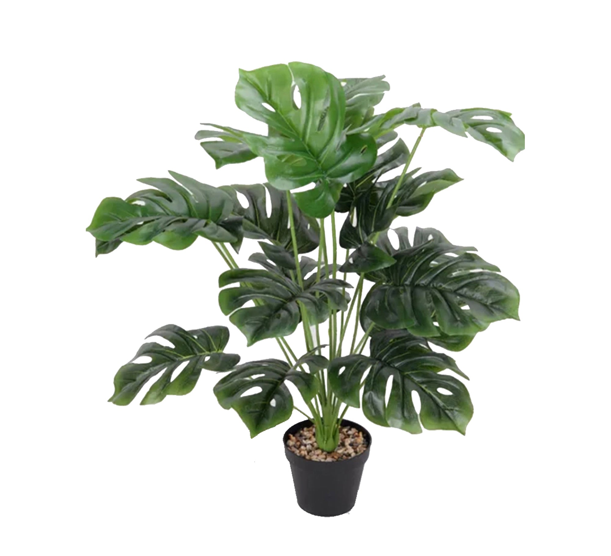 Planting pot for artificial palm leaves - Vitrine Furniture - Decor