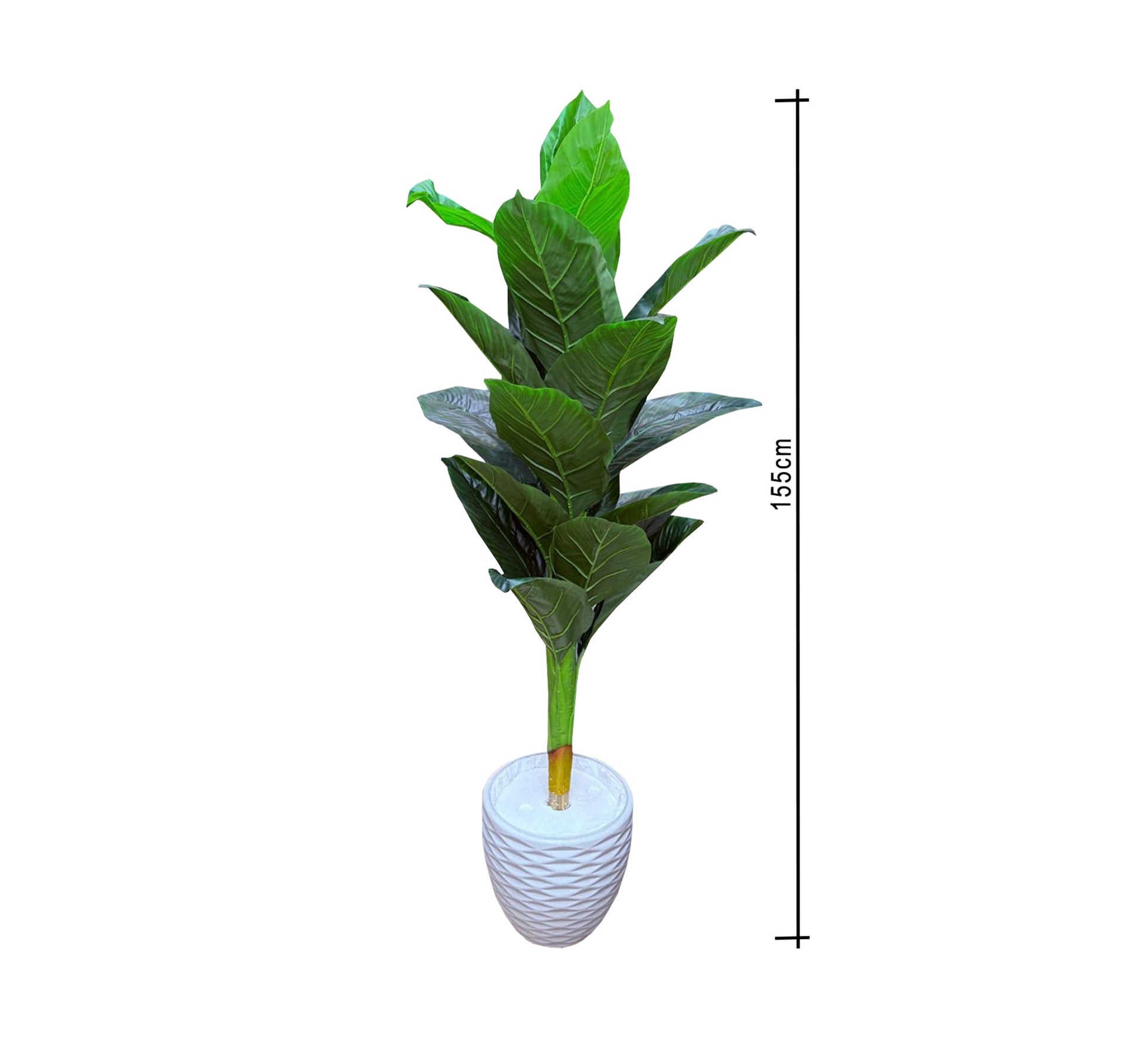 Polygonal ficus plant leaves pot - Vitrine Furniture - Décor