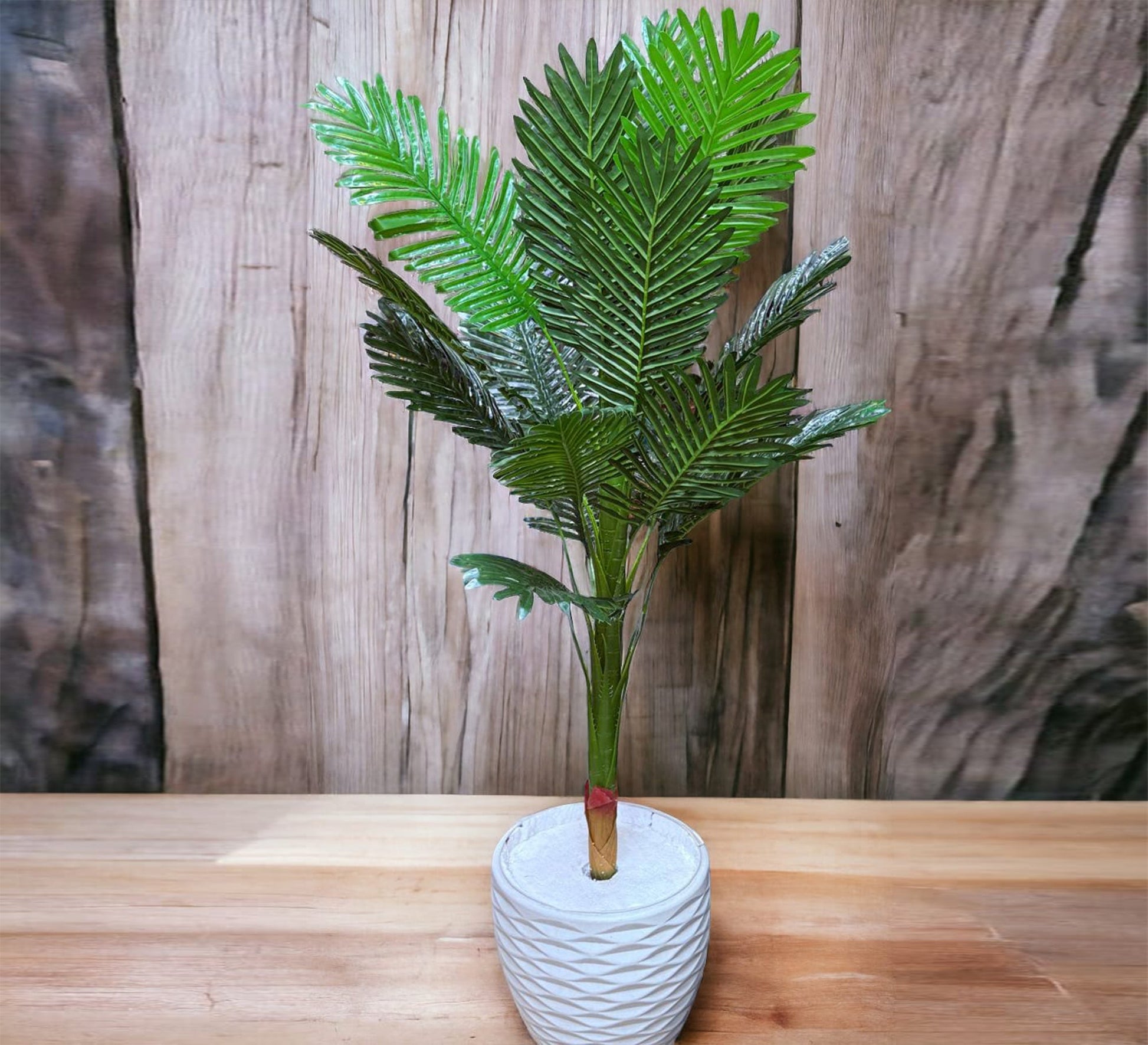 Polygonal palm plant pot - Vitrine Furniture - Décor