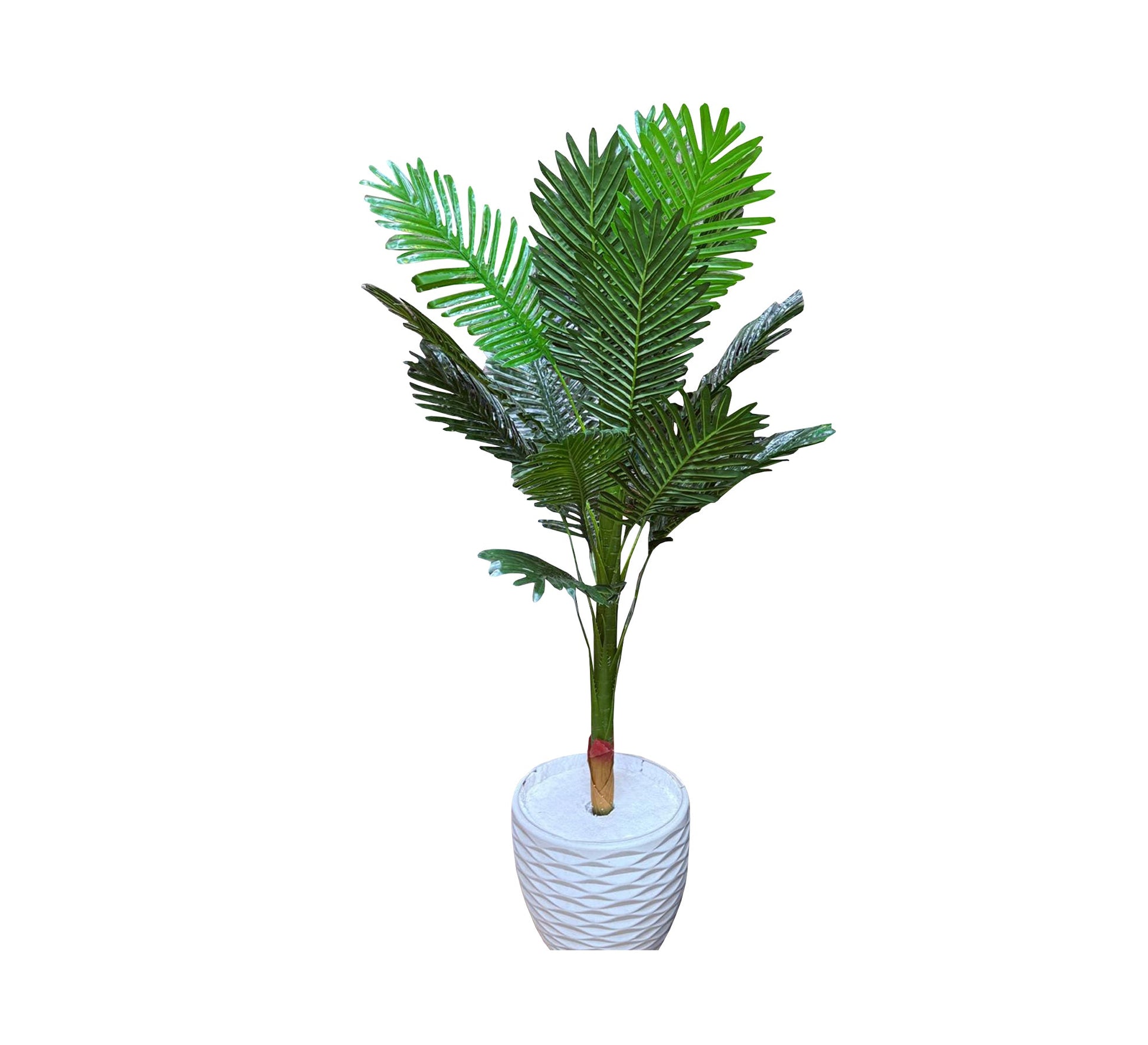 Polygonal palm plant pot - Vitrine Furniture - Décor