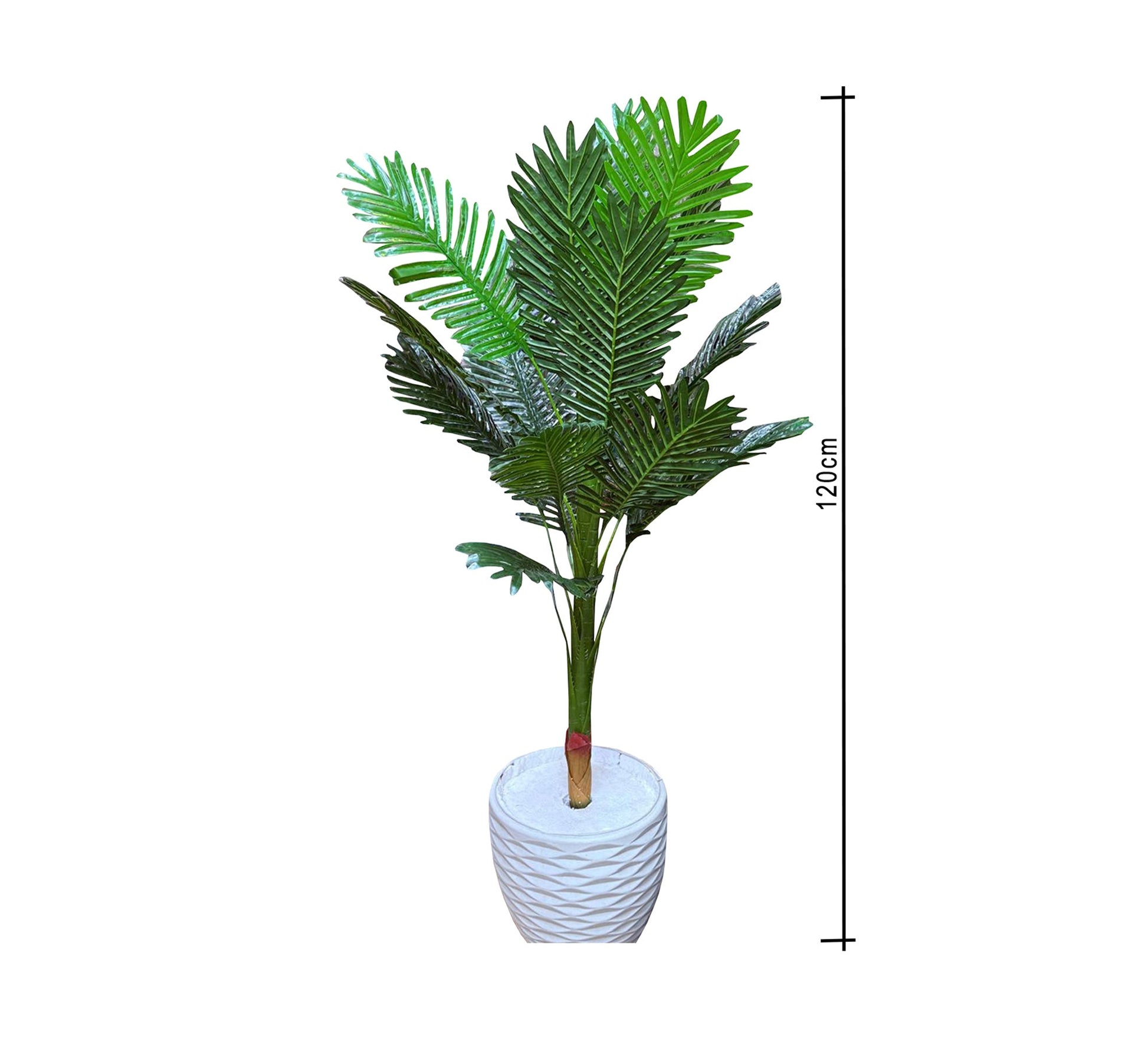 Polygonal palm plant pot - Vitrine Furniture - Décor