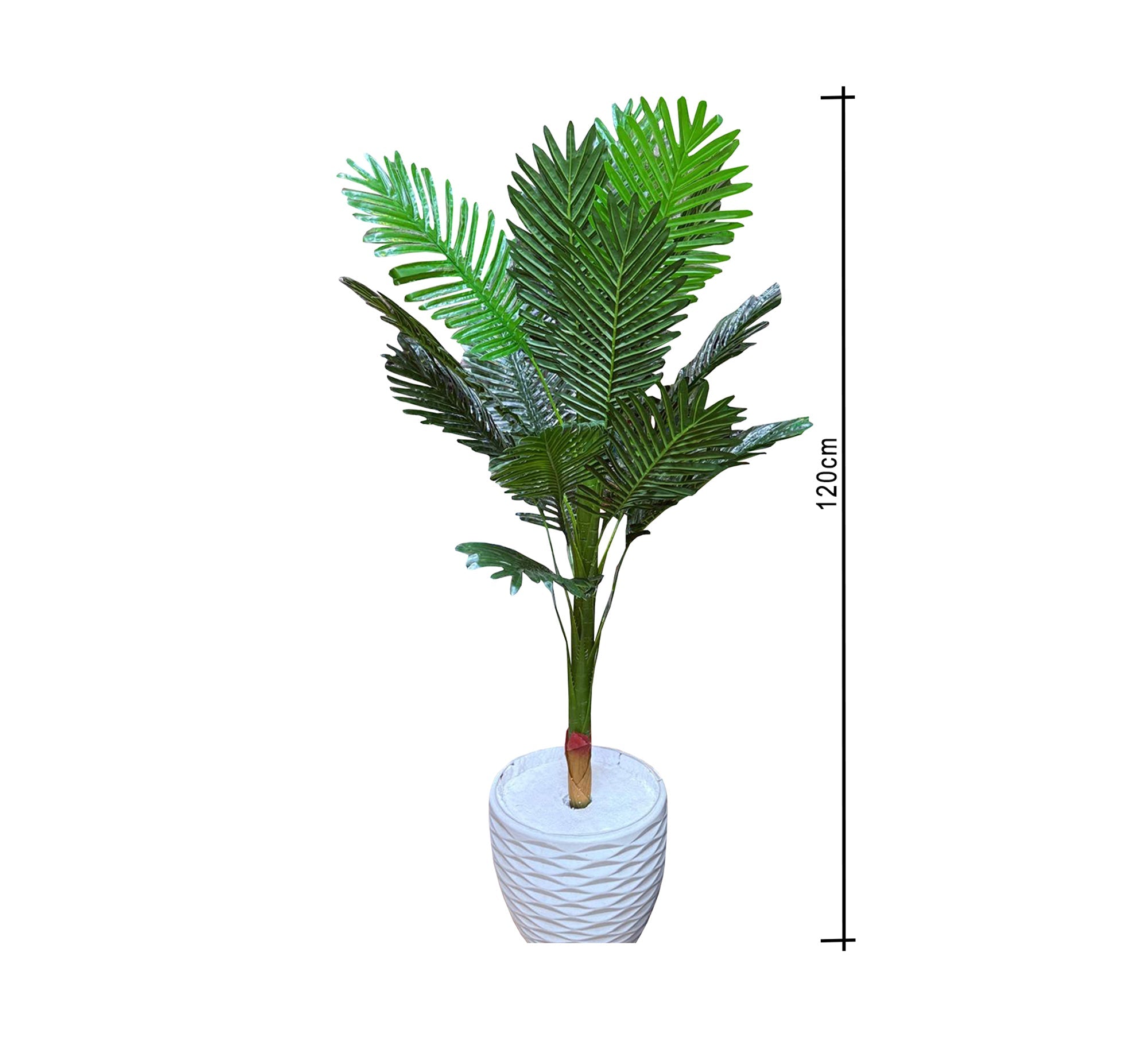 Polygonal palm plant pot - Vitrine Furniture - Décor