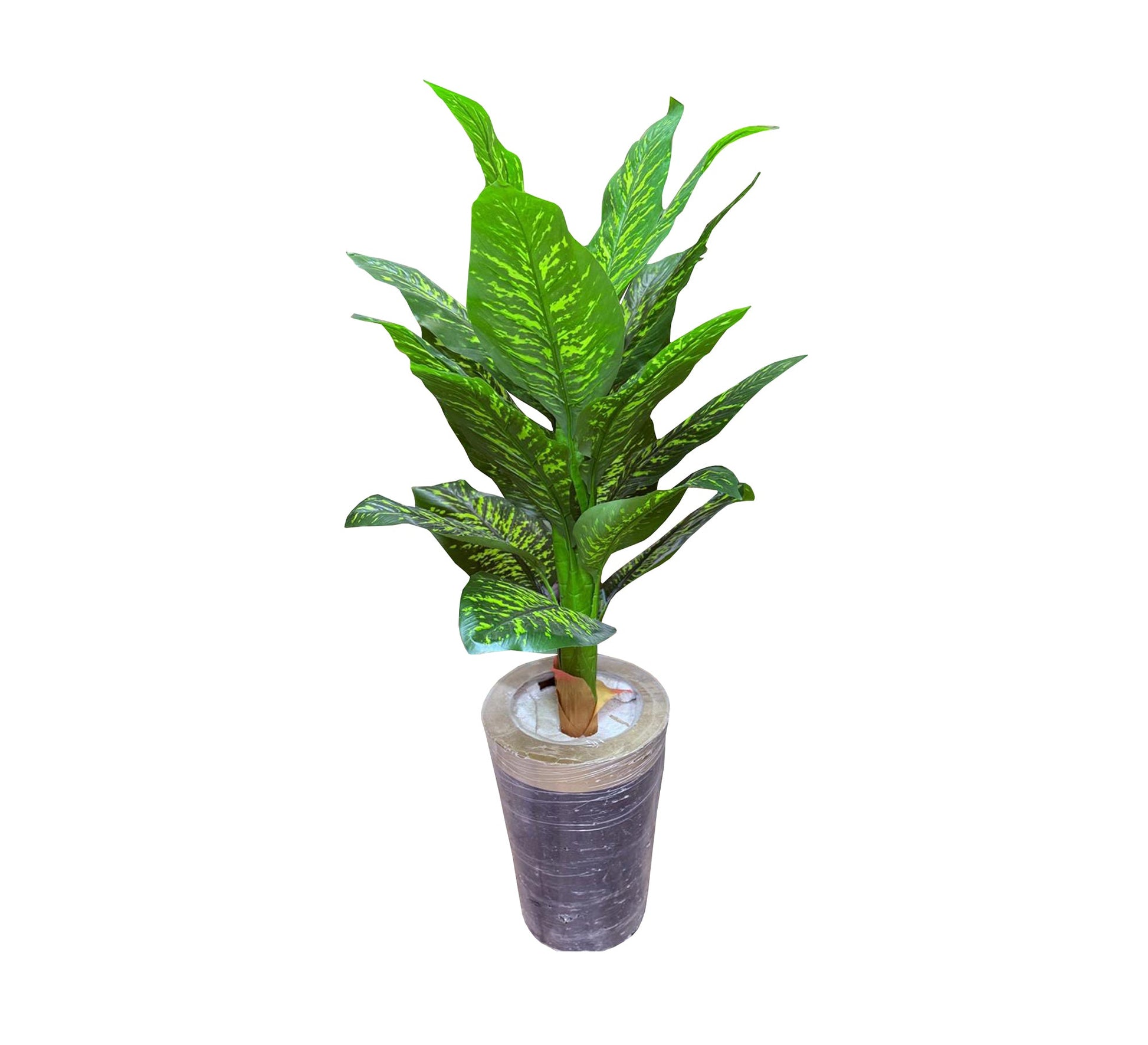Polygonal short height artificial plant pot - Vitrine Furniture - Décor