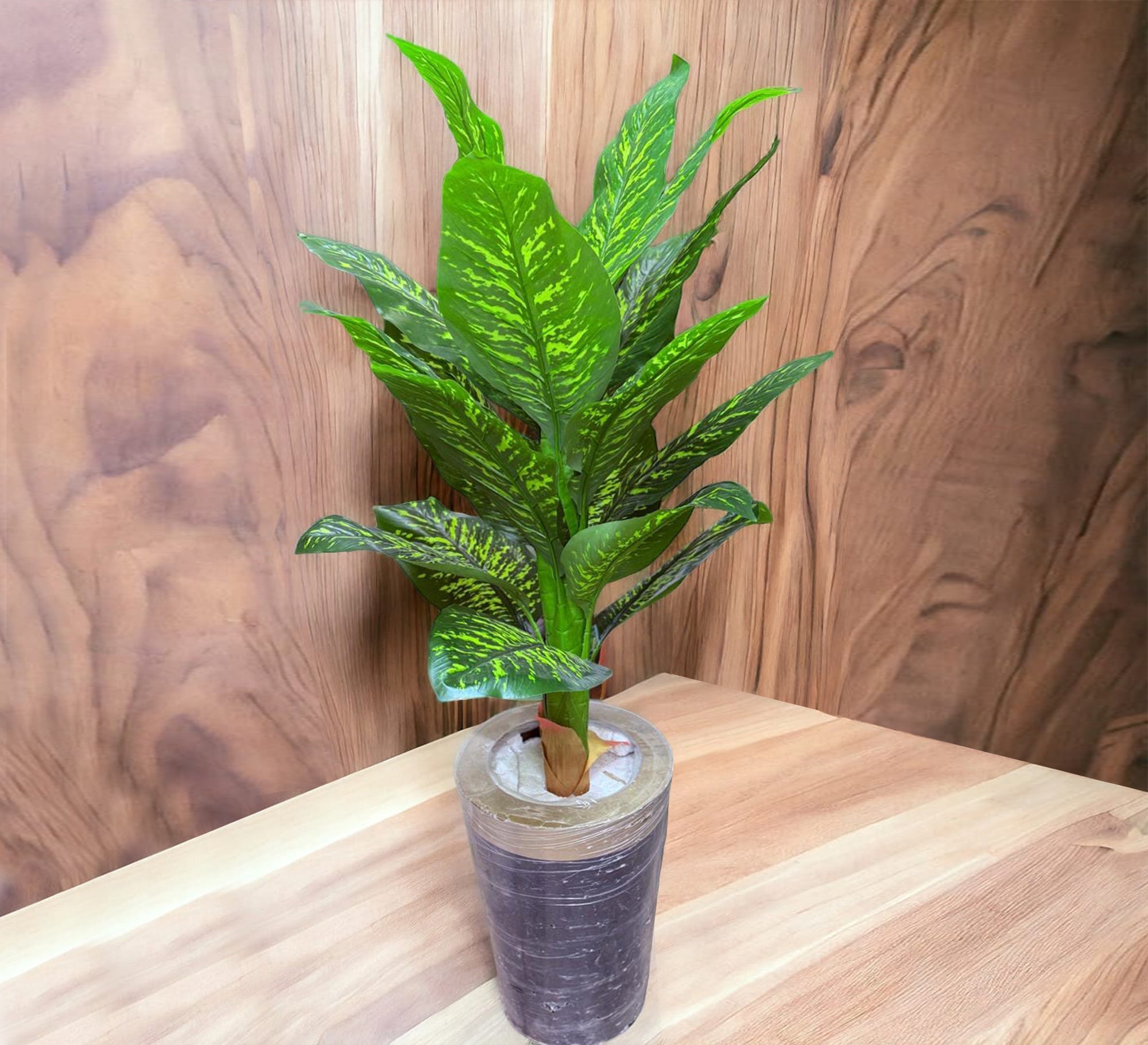 Polygonal short height artificial plant pot - Vitrine Furniture - Décor