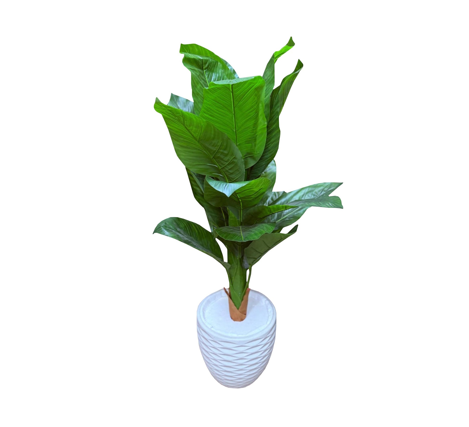 Polygonal tropical plant leaves pot - Vitrine Furniture - Décor