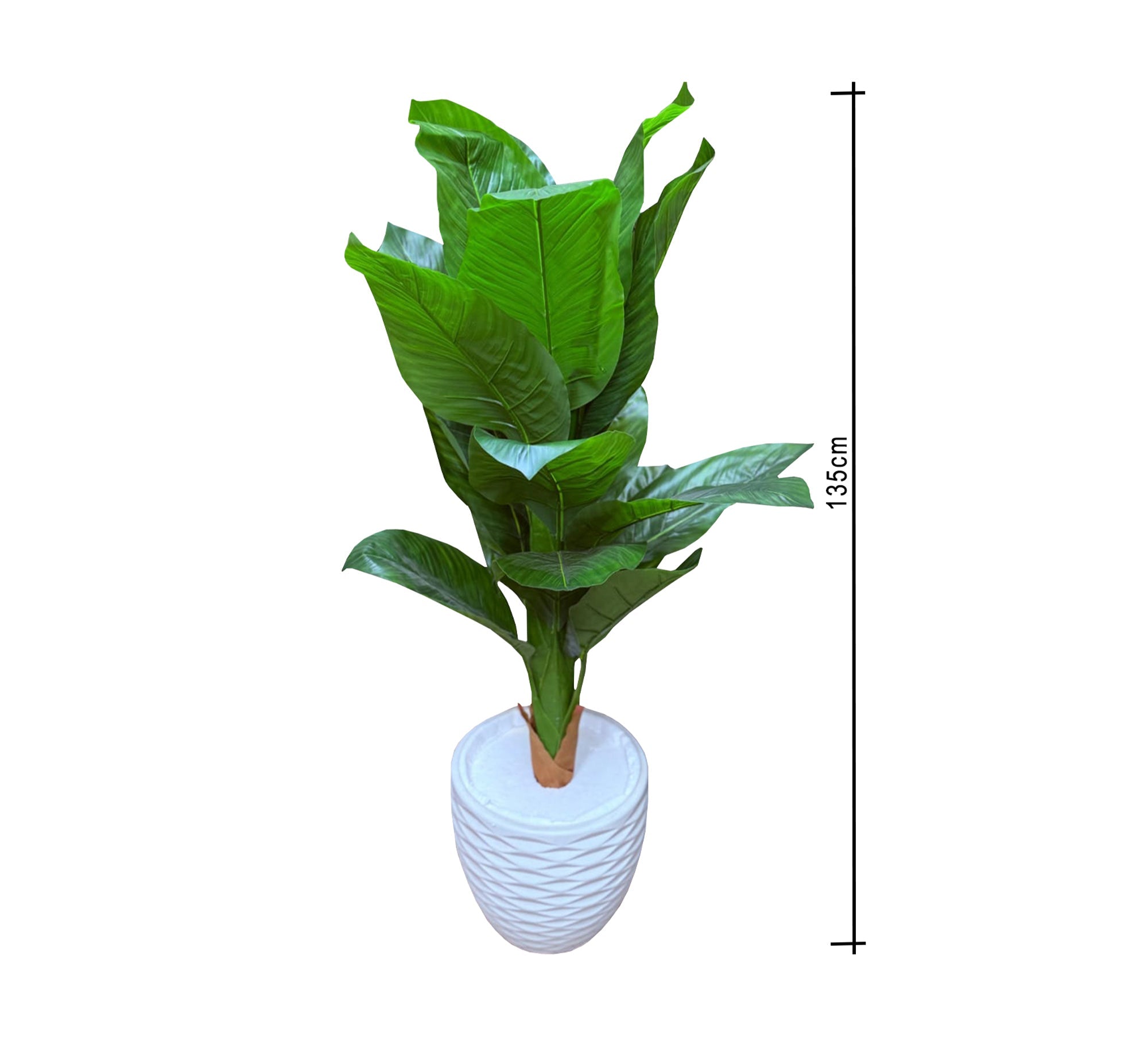 Polygonal tropical plant leaves pot - Vitrine Furniture - Décor