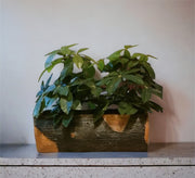 Rectangular decorative artificial plant pot - Vitrine Furniture - Décor