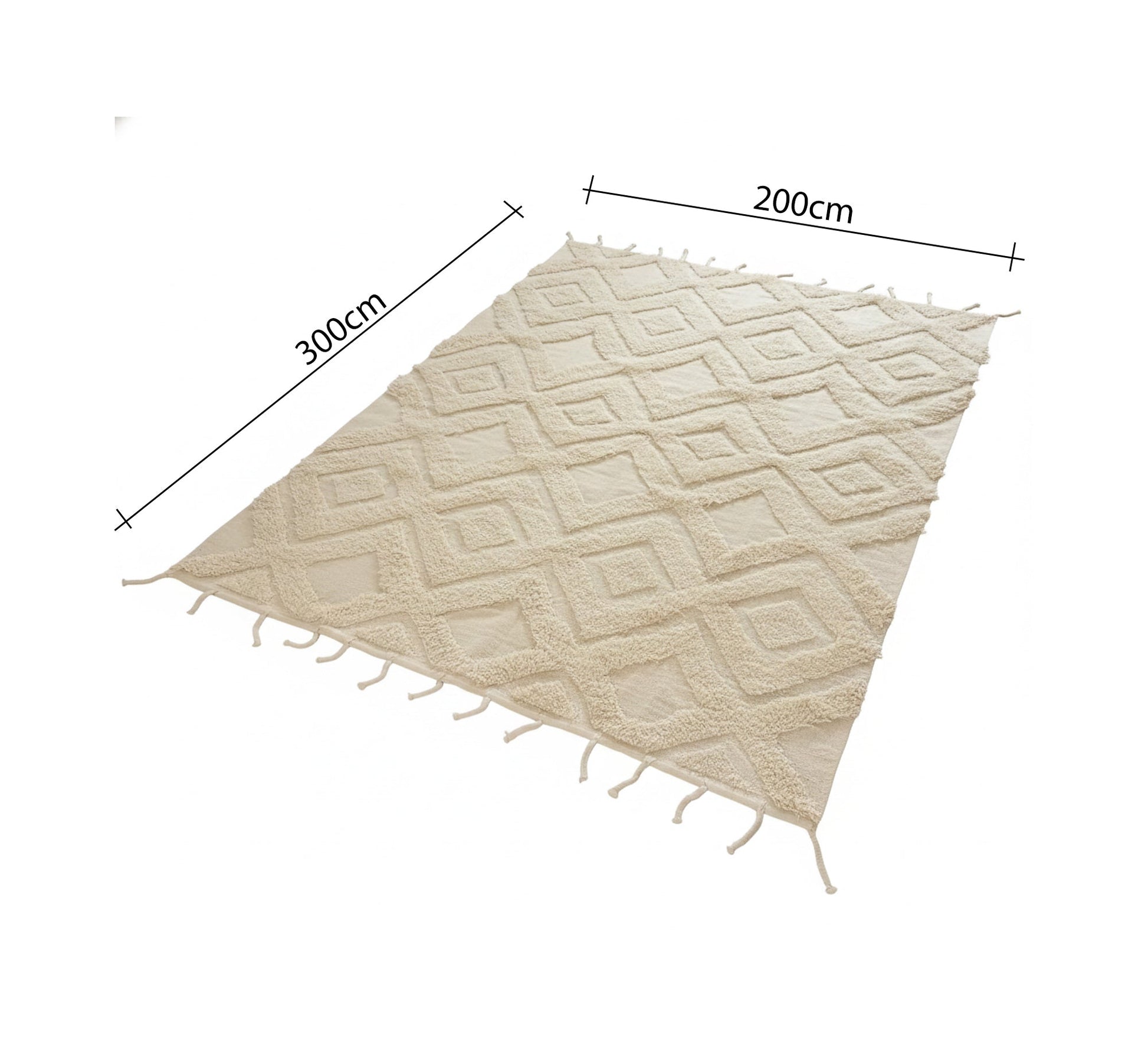 Simple fringed floor rug - Vitrine Furniture - Accessories