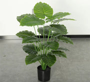 Sleek Black Plastic & Leather Elegance - Vitrine Furniture - Decor