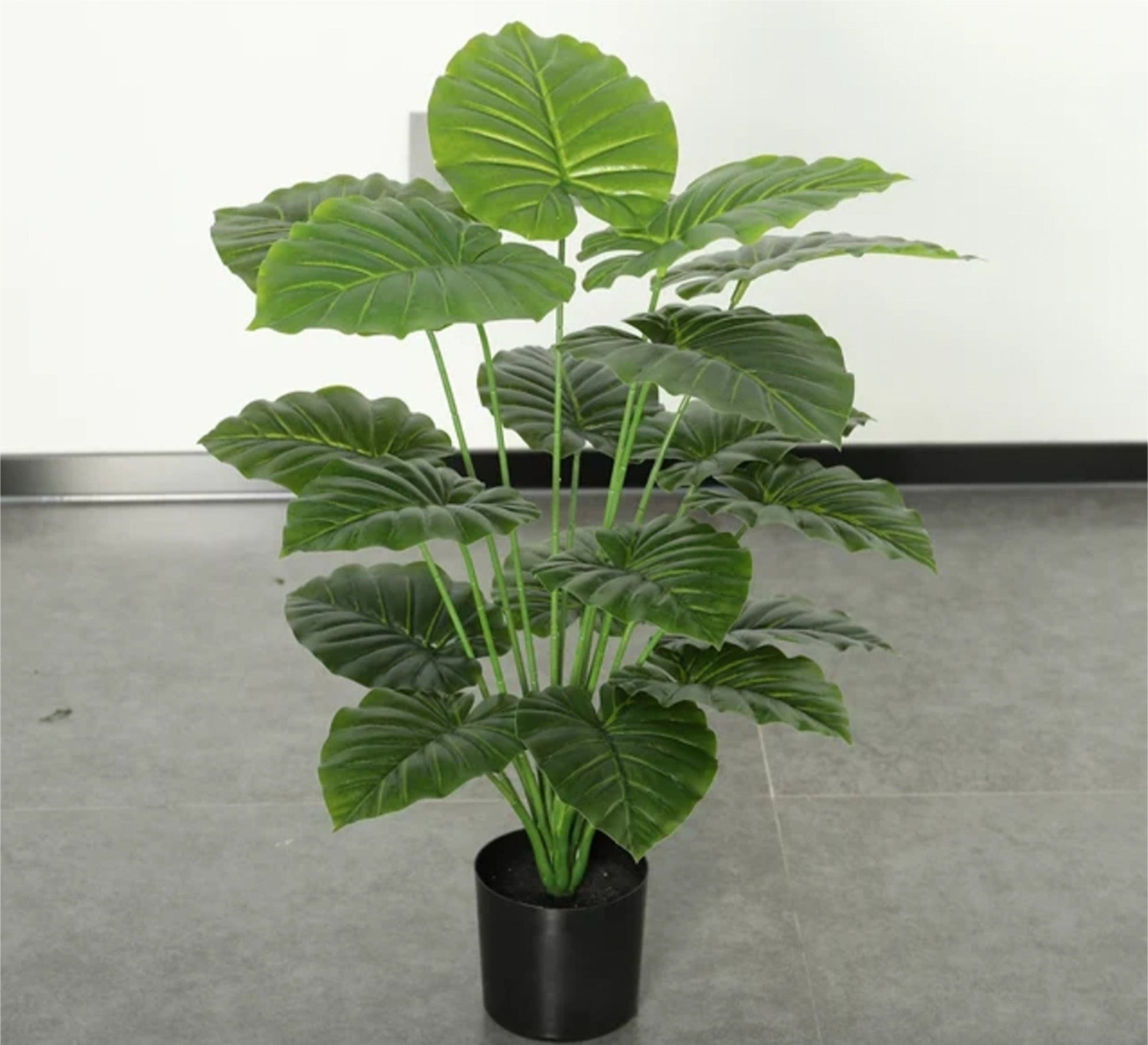 Sleek Black Plastic & Leather Elegance - Vitrine Furniture - Decor