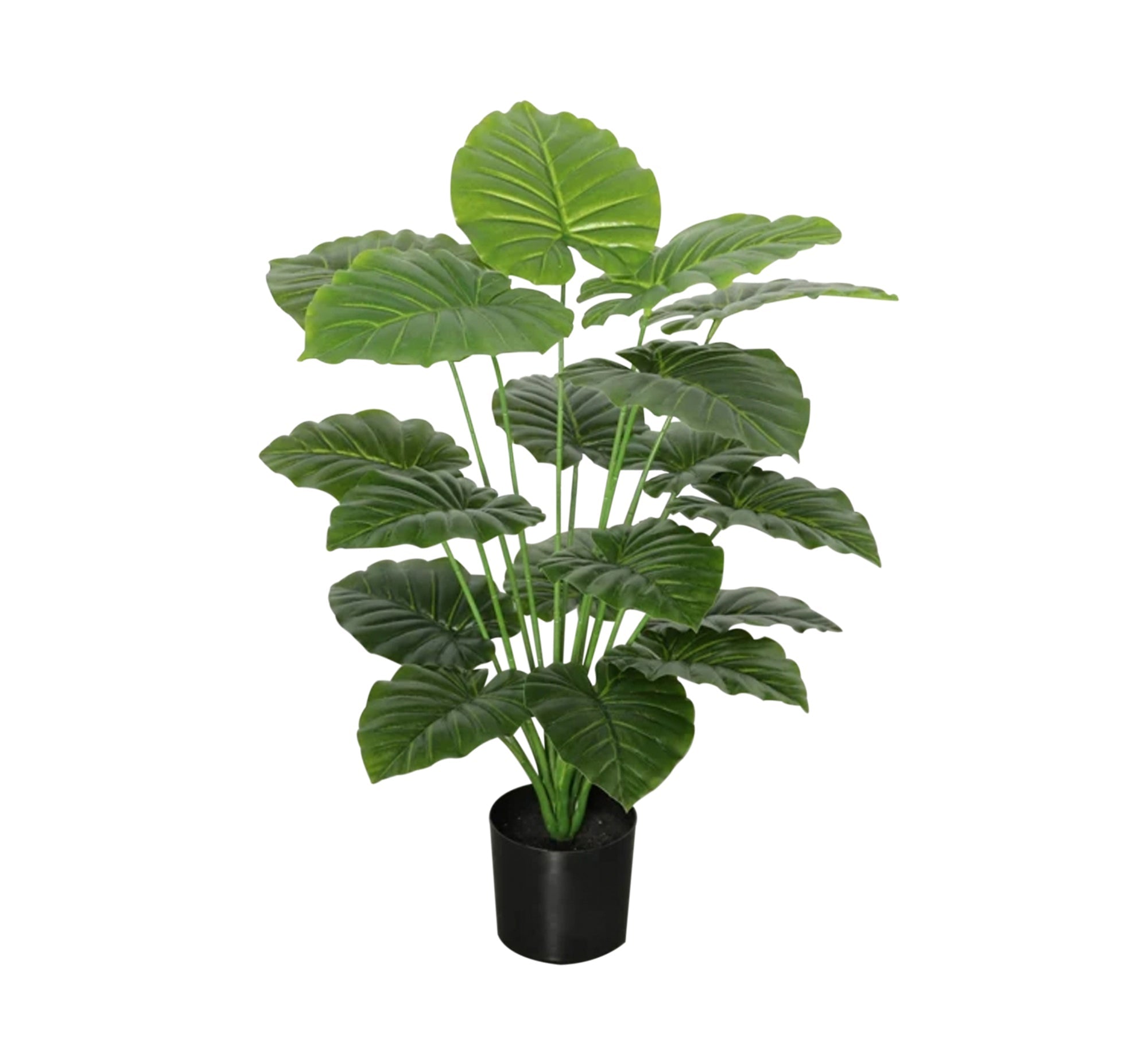 Sleek Black Plastic & Leather Elegance - Vitrine Furniture - Decor