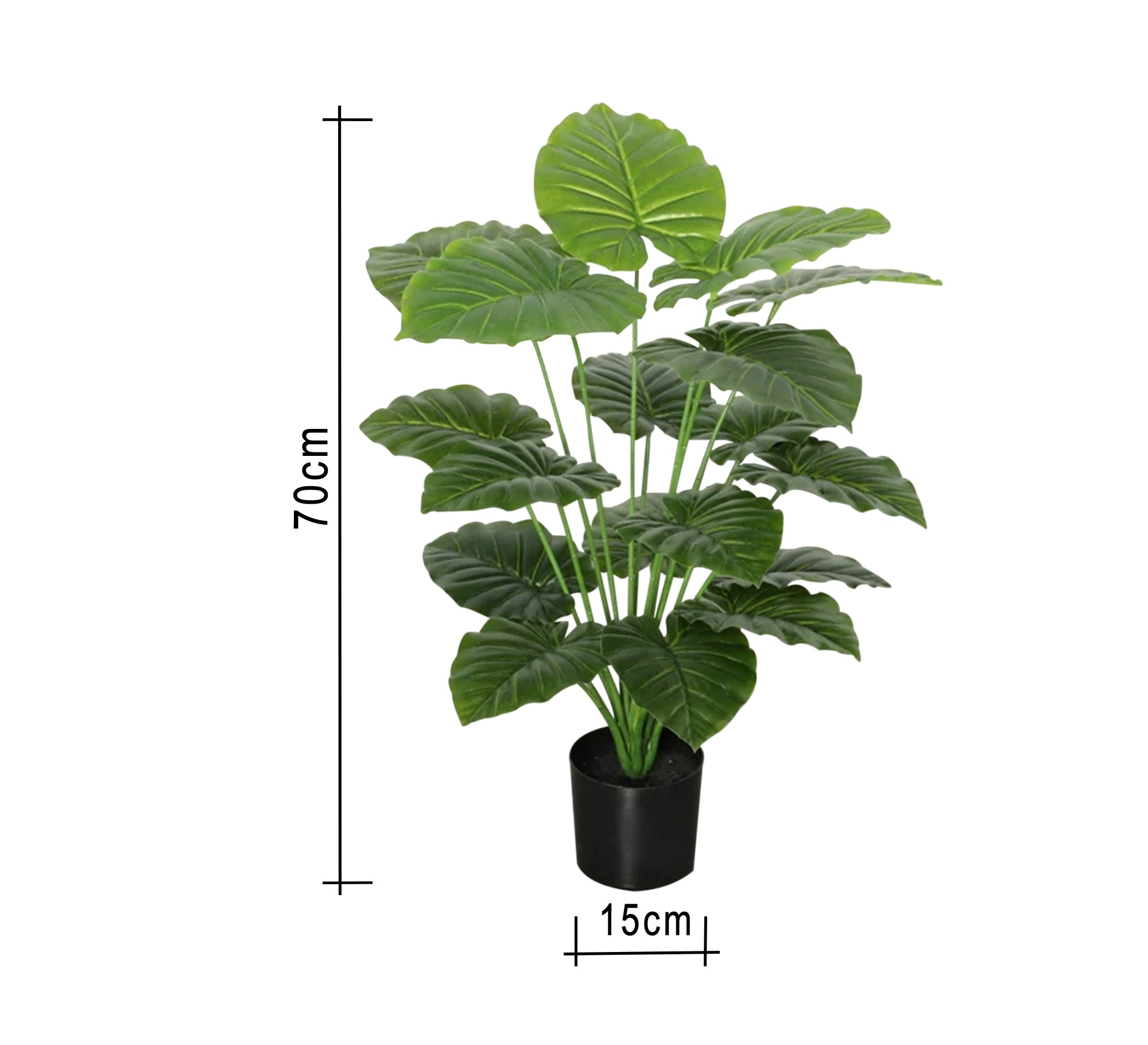 Sleek Black Plastic & Leather Elegance - Vitrine Furniture - Decor